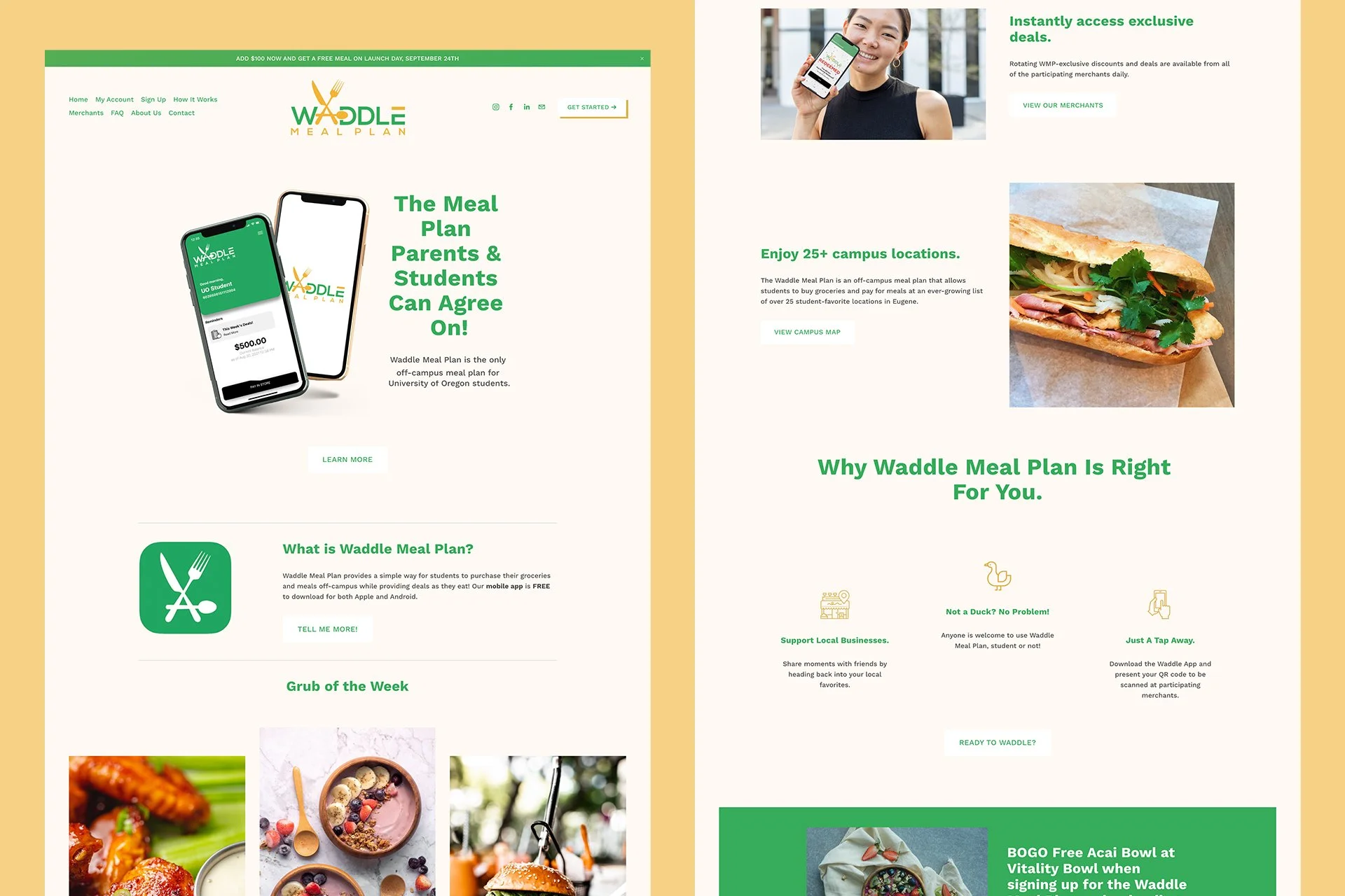 Waddle Web Showcase.jpg