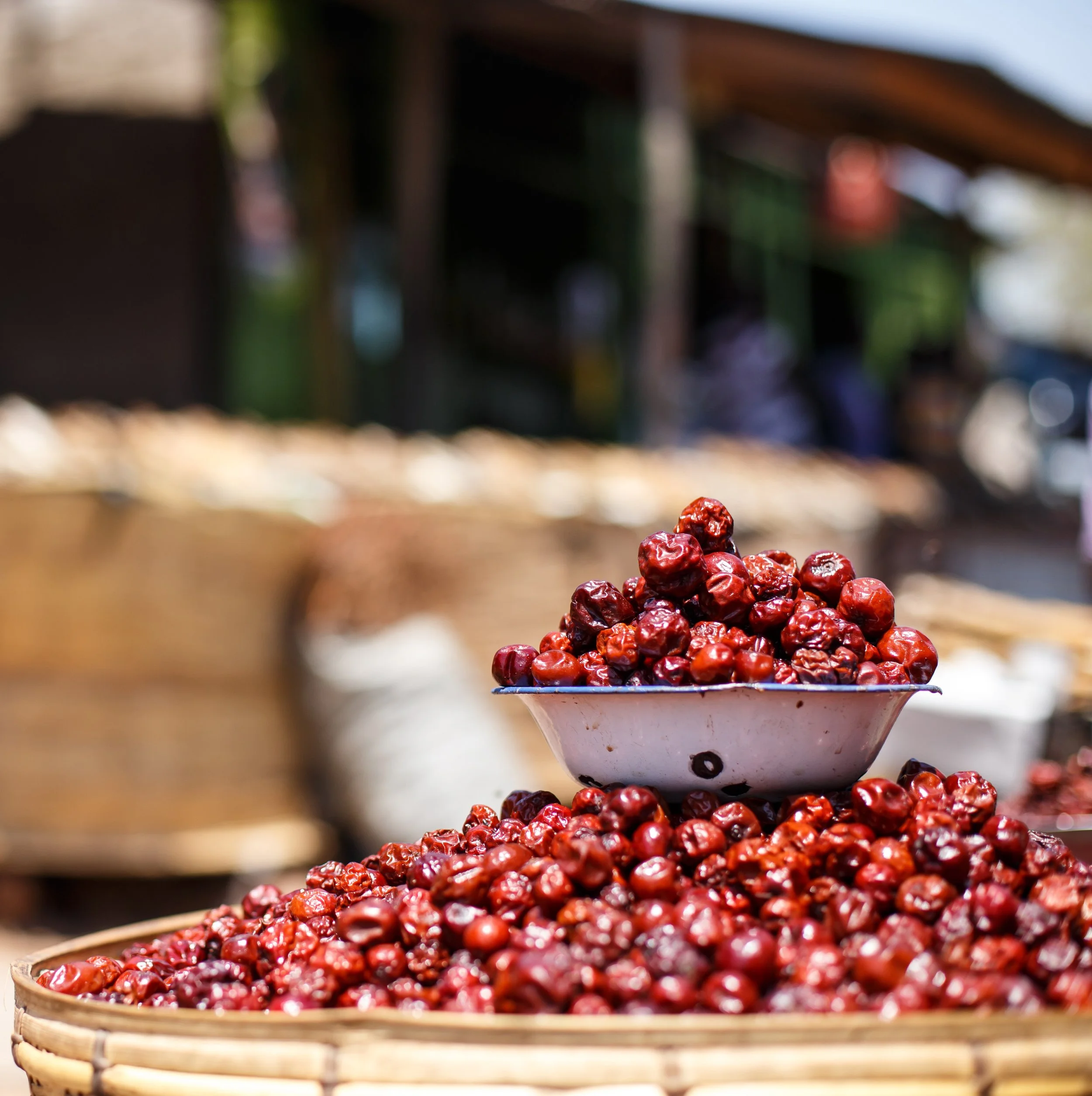 Zambia Coffee Origins — Baba Java Coffee Hoover, AL