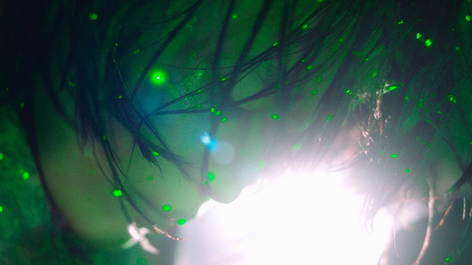 The Fifth Thoracic Vertebra 다섯 번째 흉추(2022)