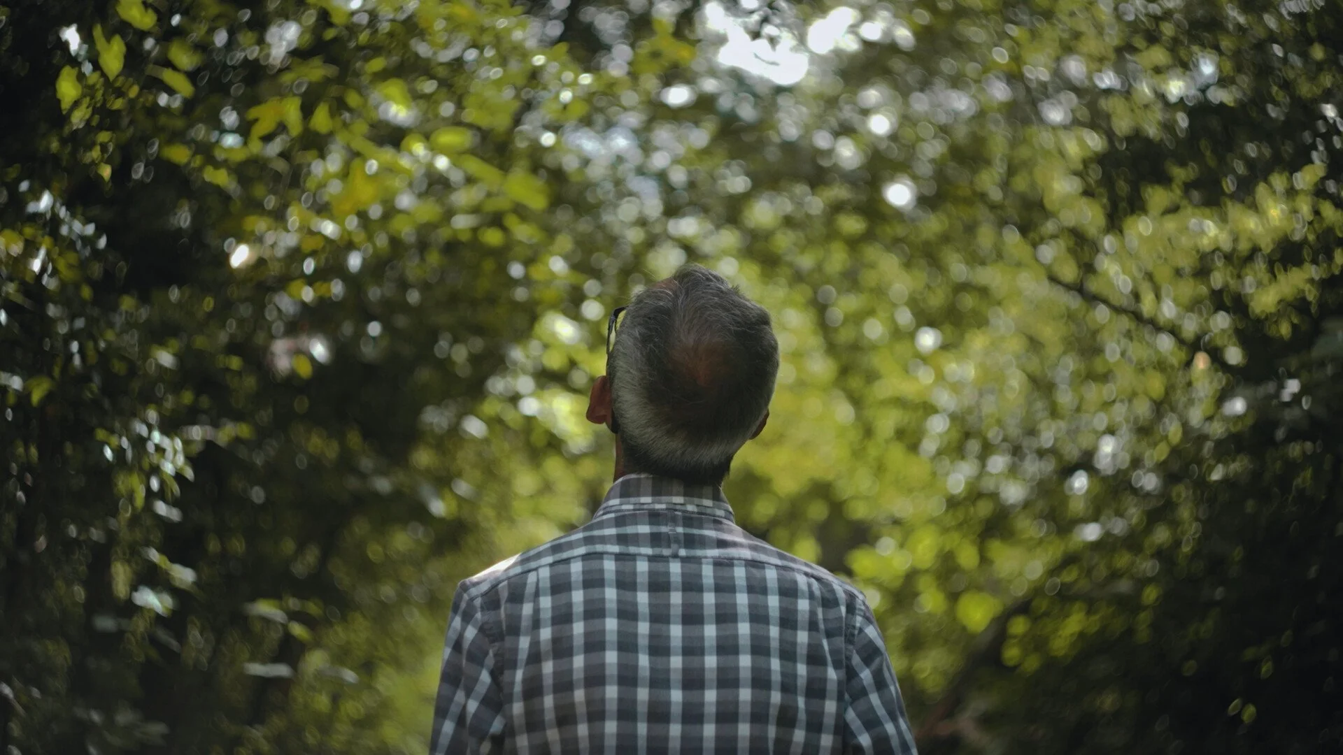 Still Drawing (2025)