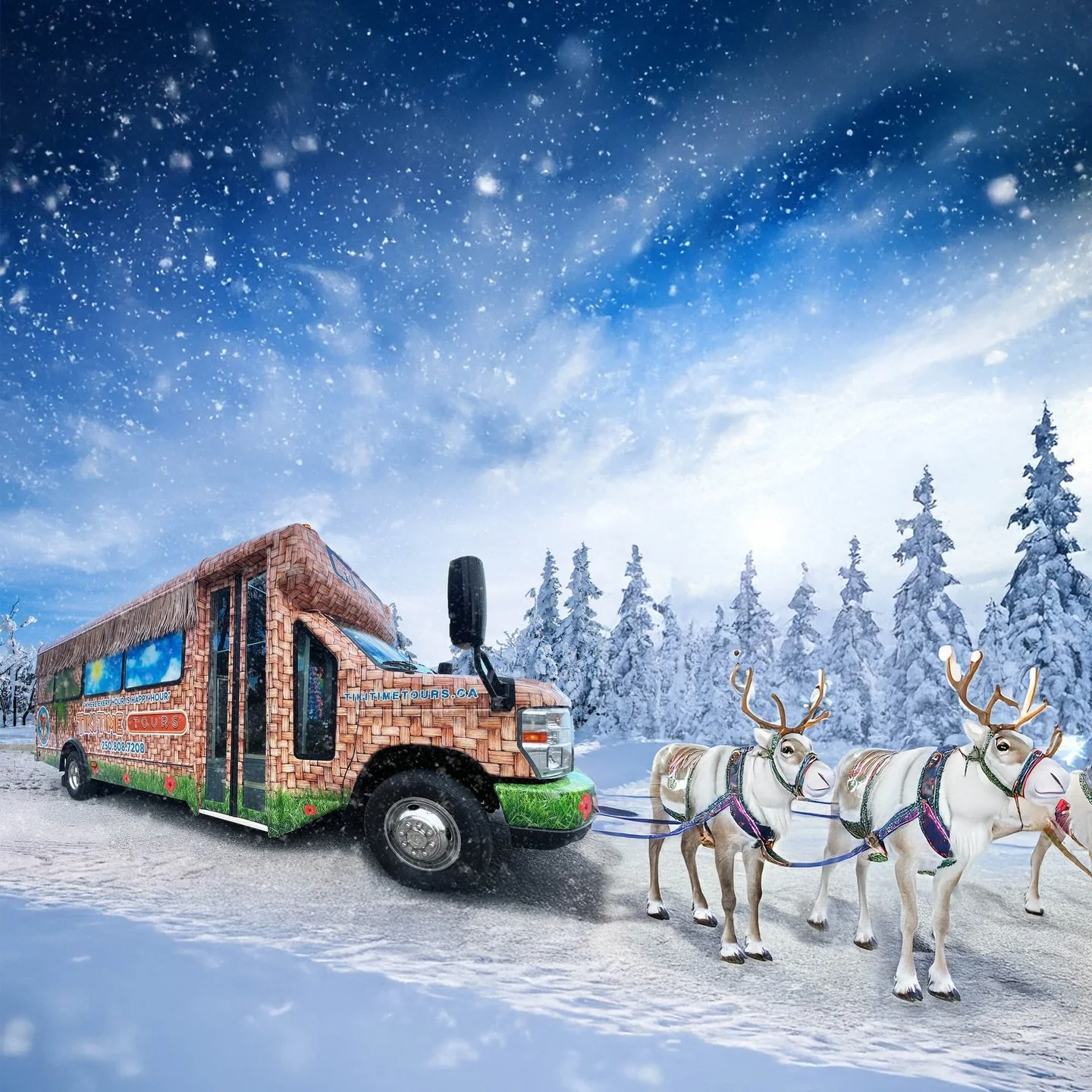 Merry Christmas from all of us at Tiki Time Tours. Wishing everyone a happy and safe holiday season.