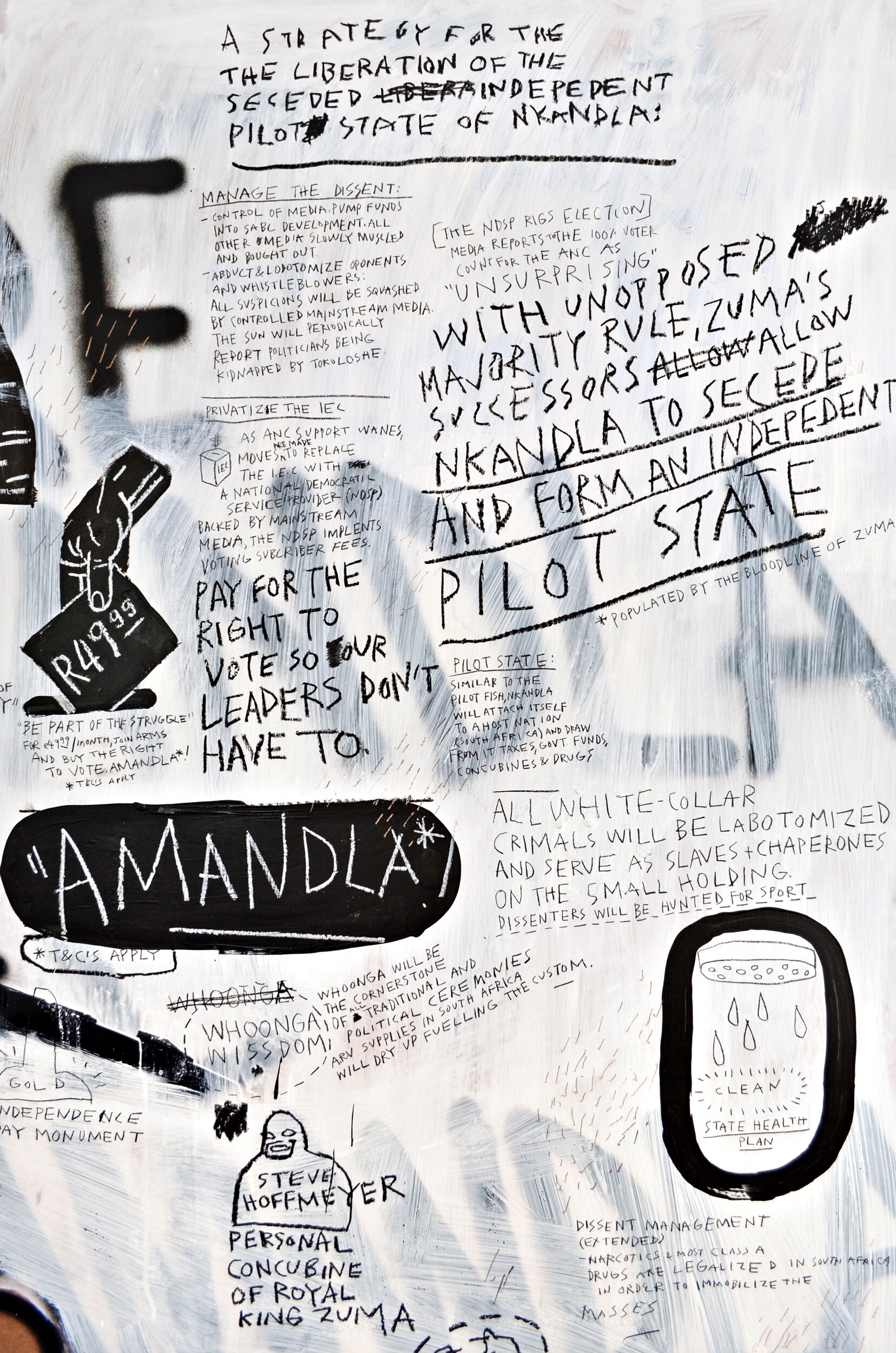 The_Inevitable_Rise_and_Liberation_of_Nkandla_detail1_sm.jpg