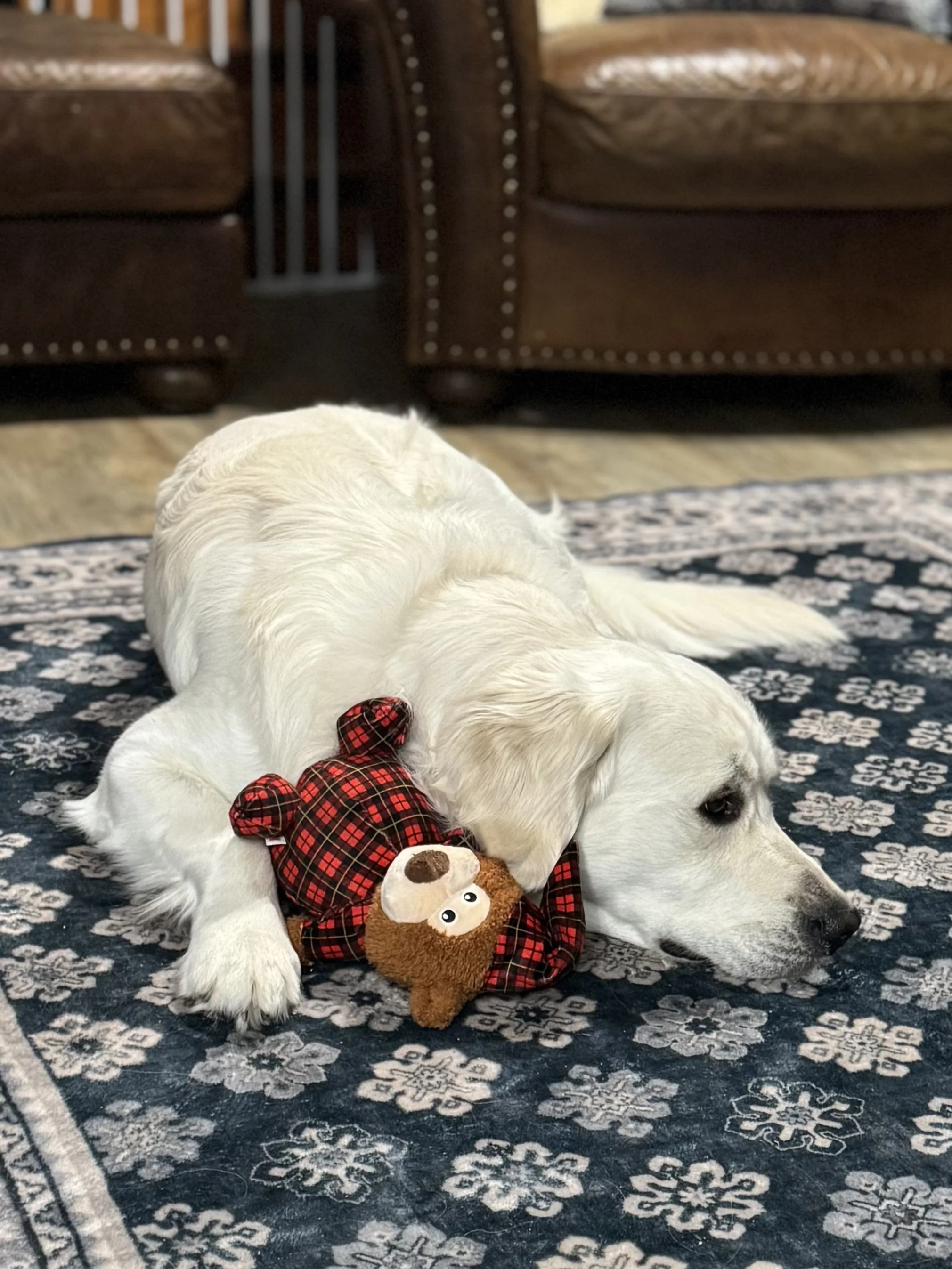 Louie