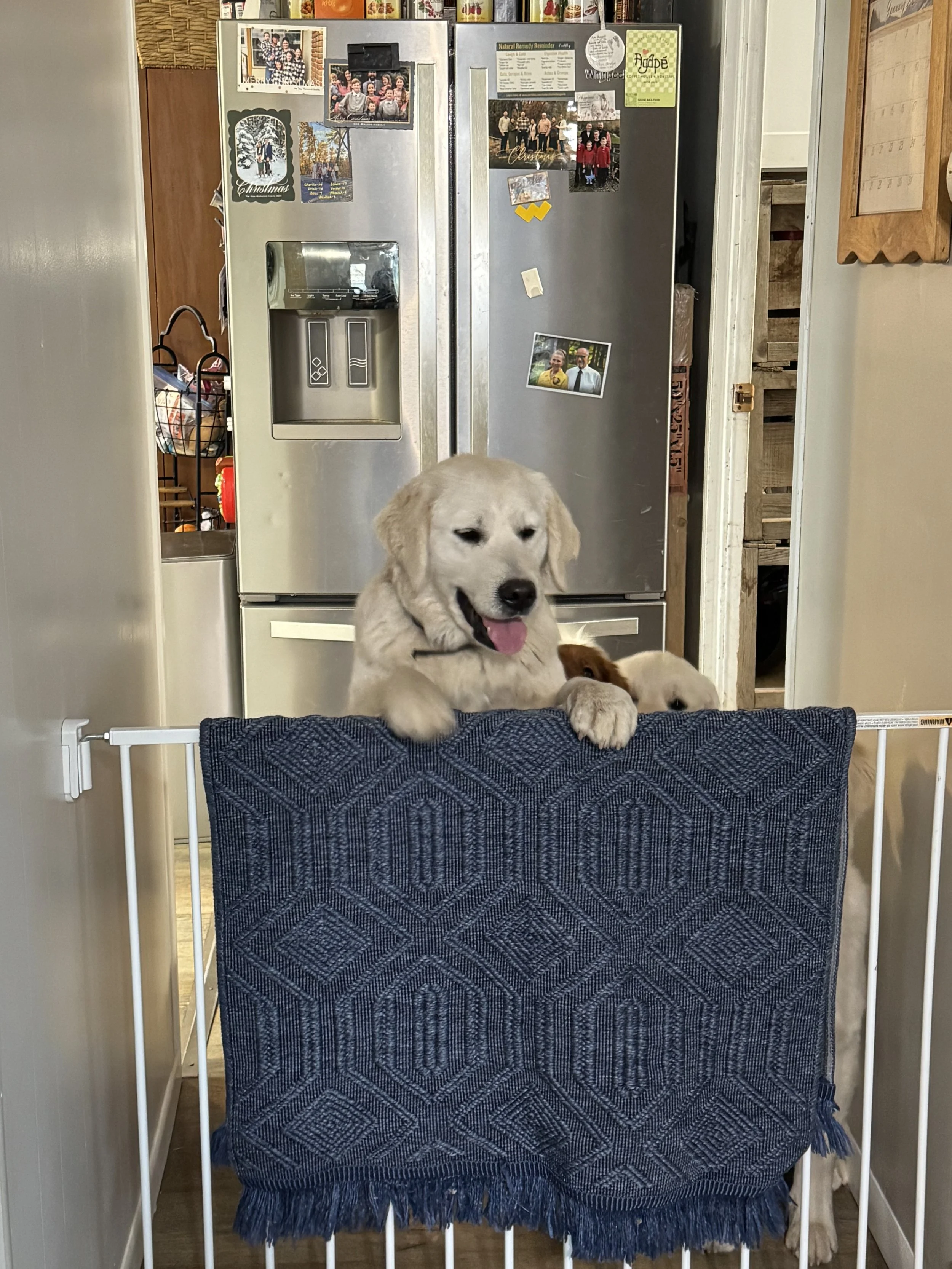 Sitka