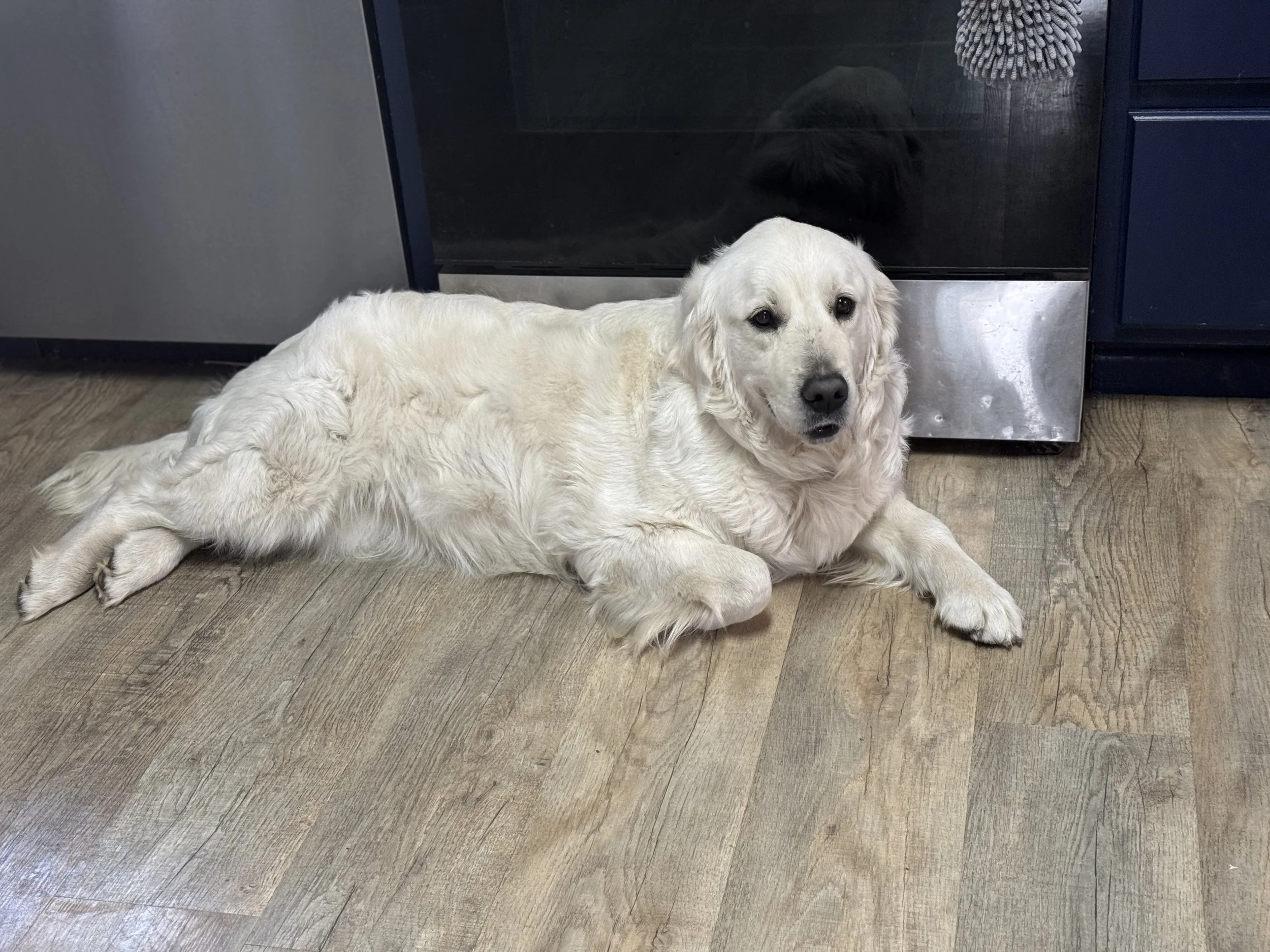 Sitka