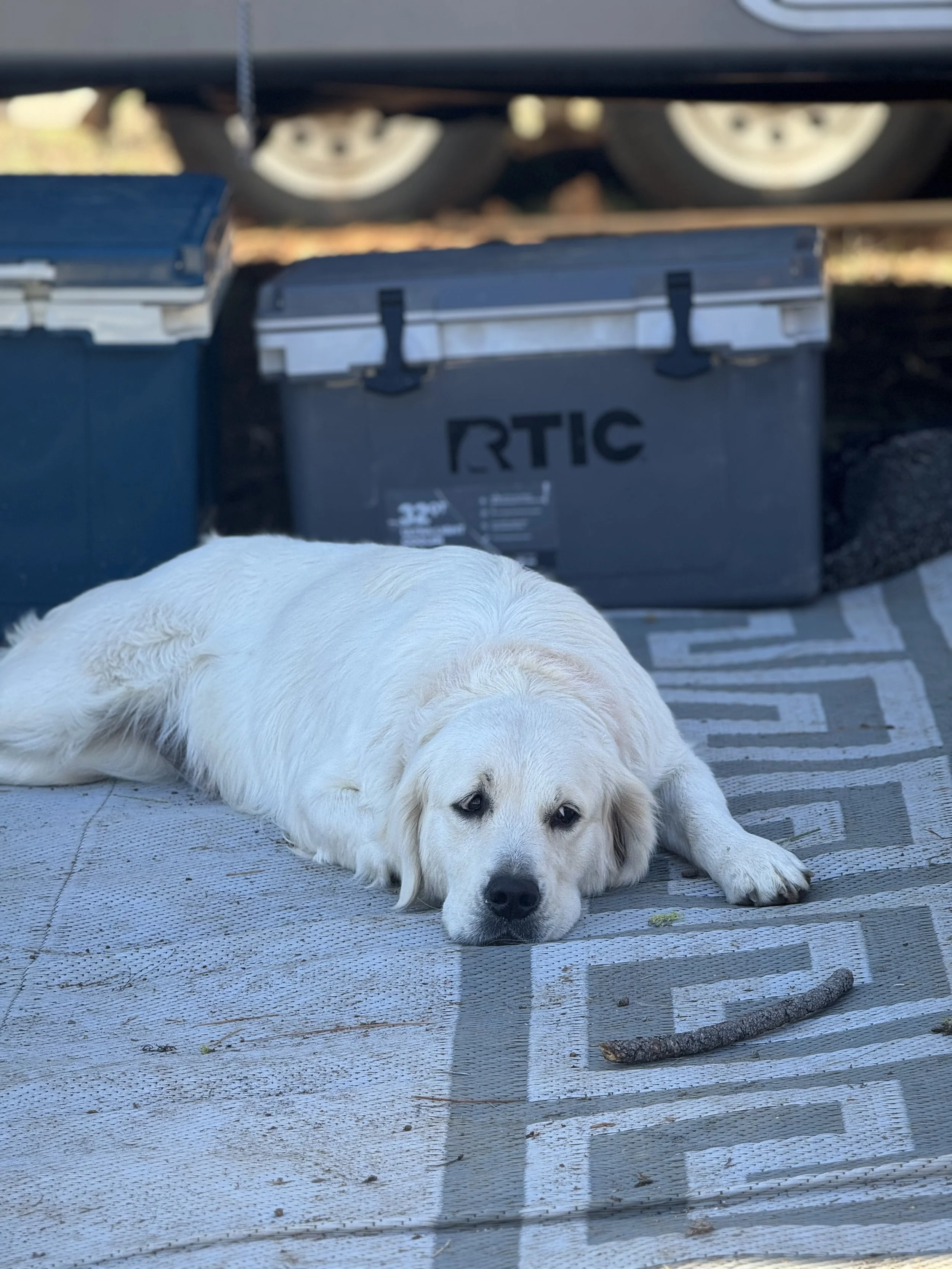 Sitka