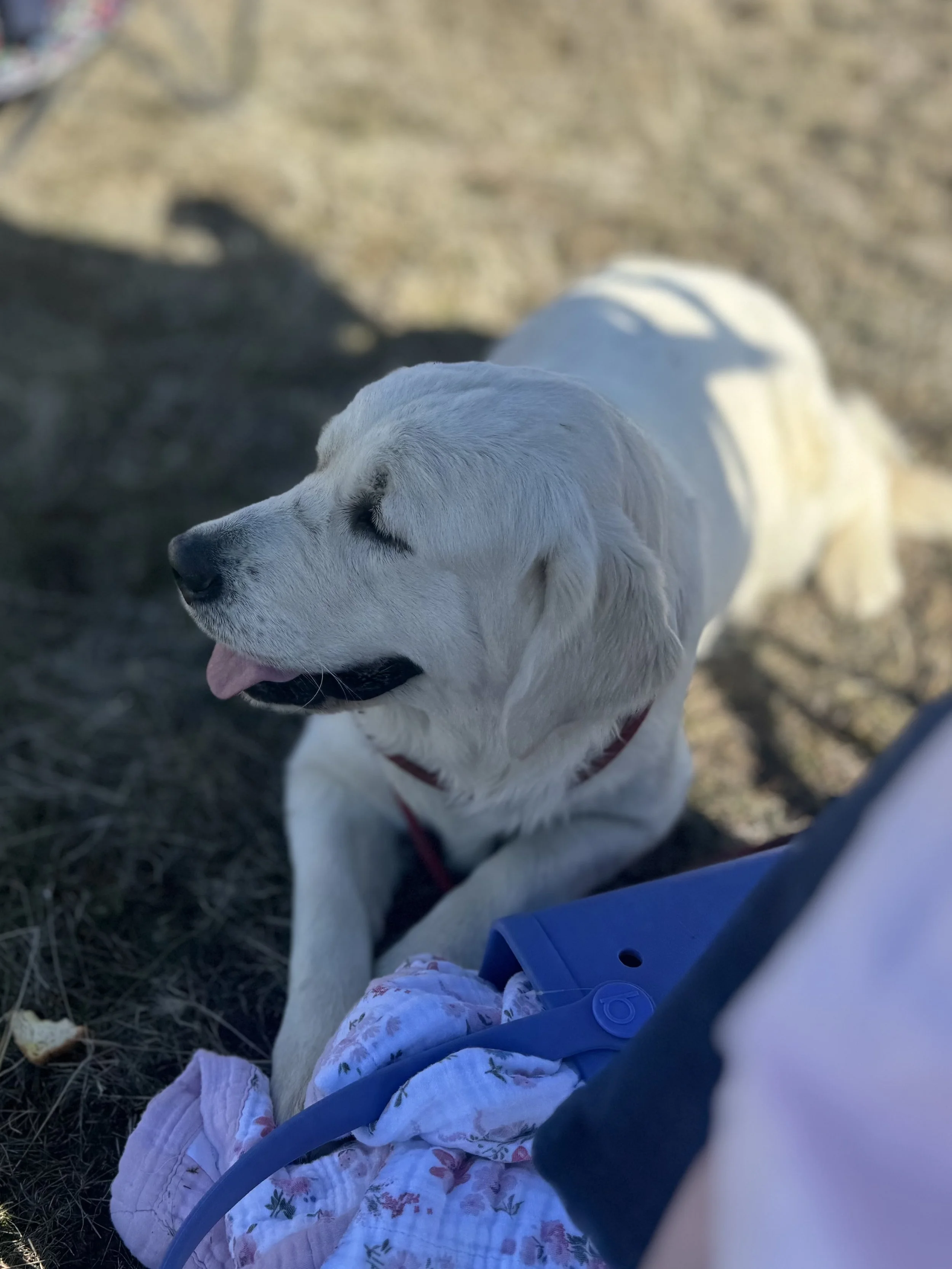 IMG_0791.jpeg