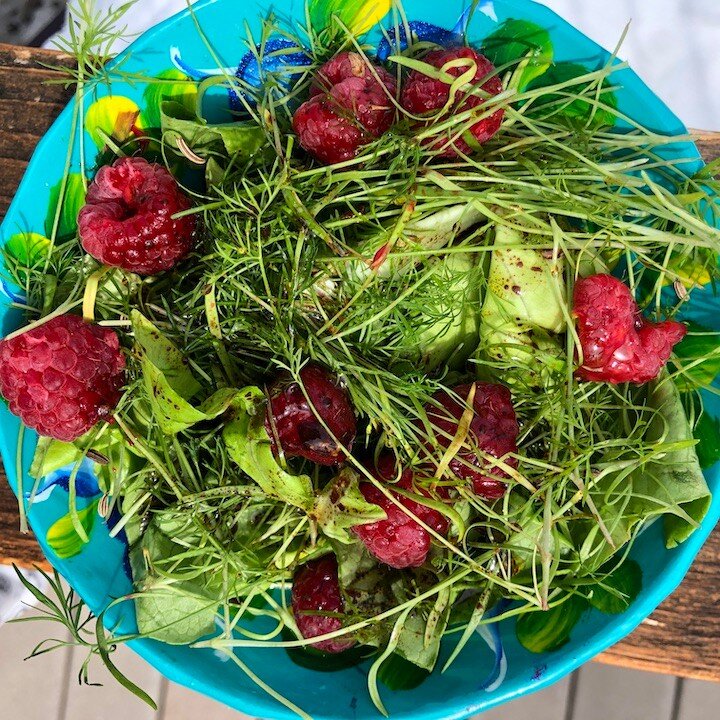 41North Butter lettuce & fennel micro greens, raspberries and a raspberry vinaigrette