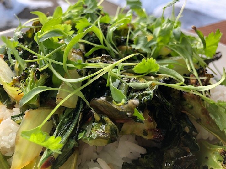 Grilled boy choy and broccoli with ginger, garlic and 41North cilantro micro greens.