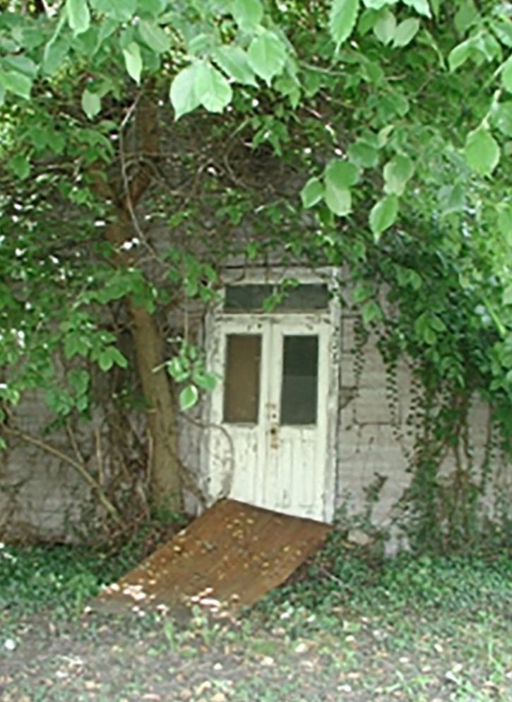 sumner hall prior to renovation covergrown with vines and trees