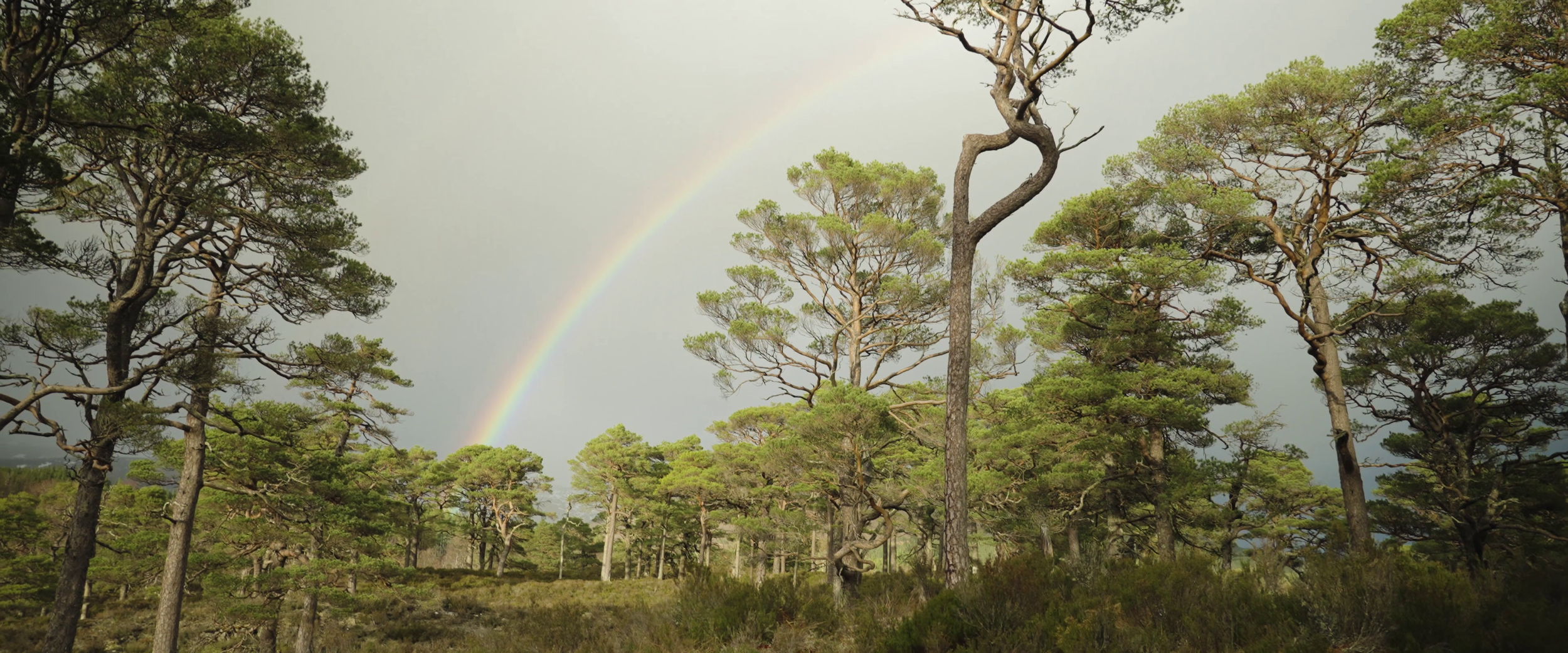 glen beyond still 37.png