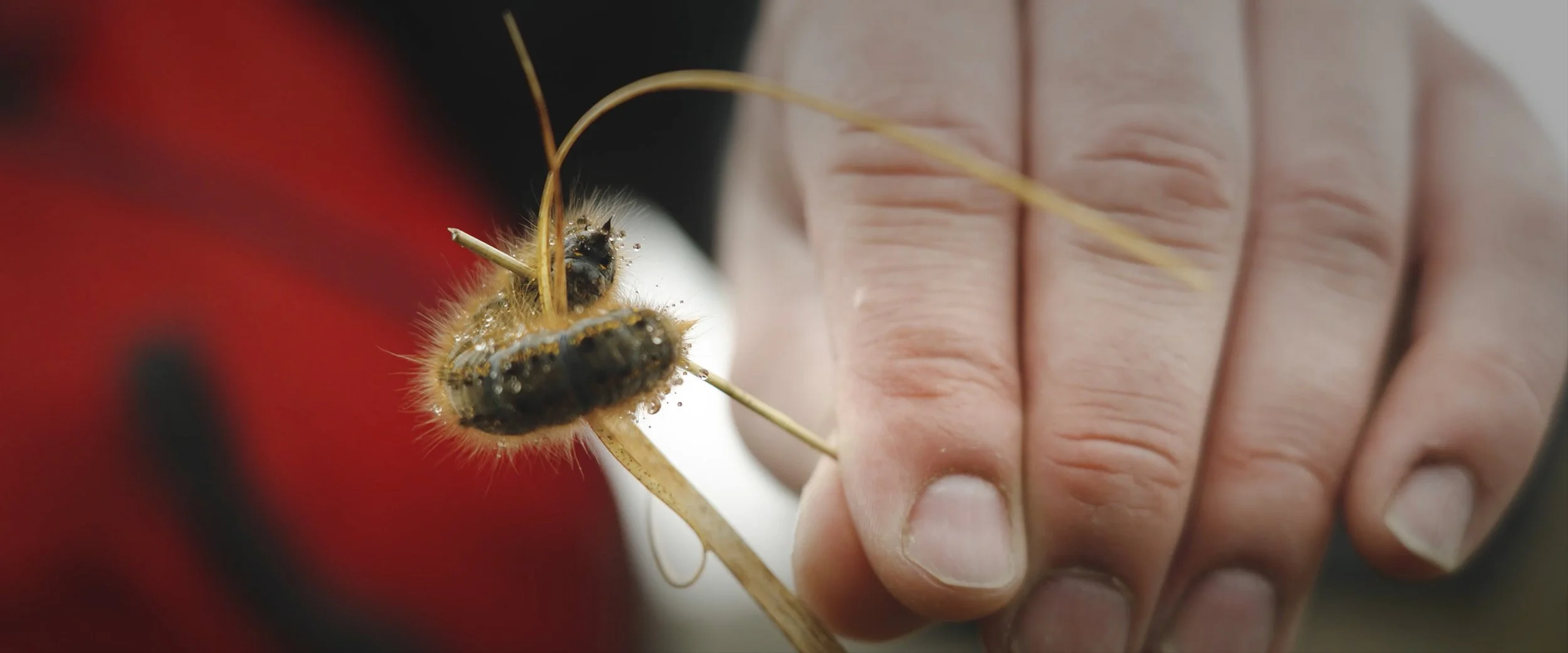 canoeperspective (17).jpg