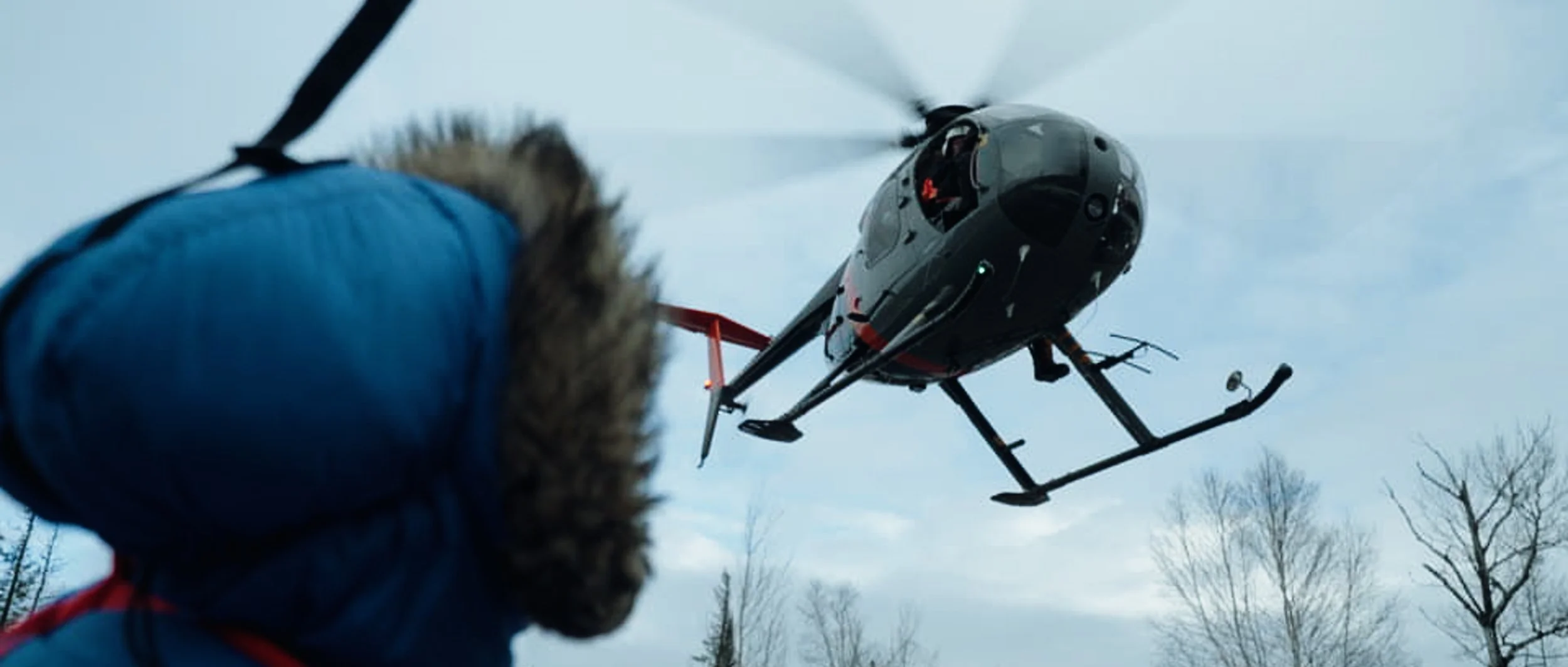 moose still (11).jpg