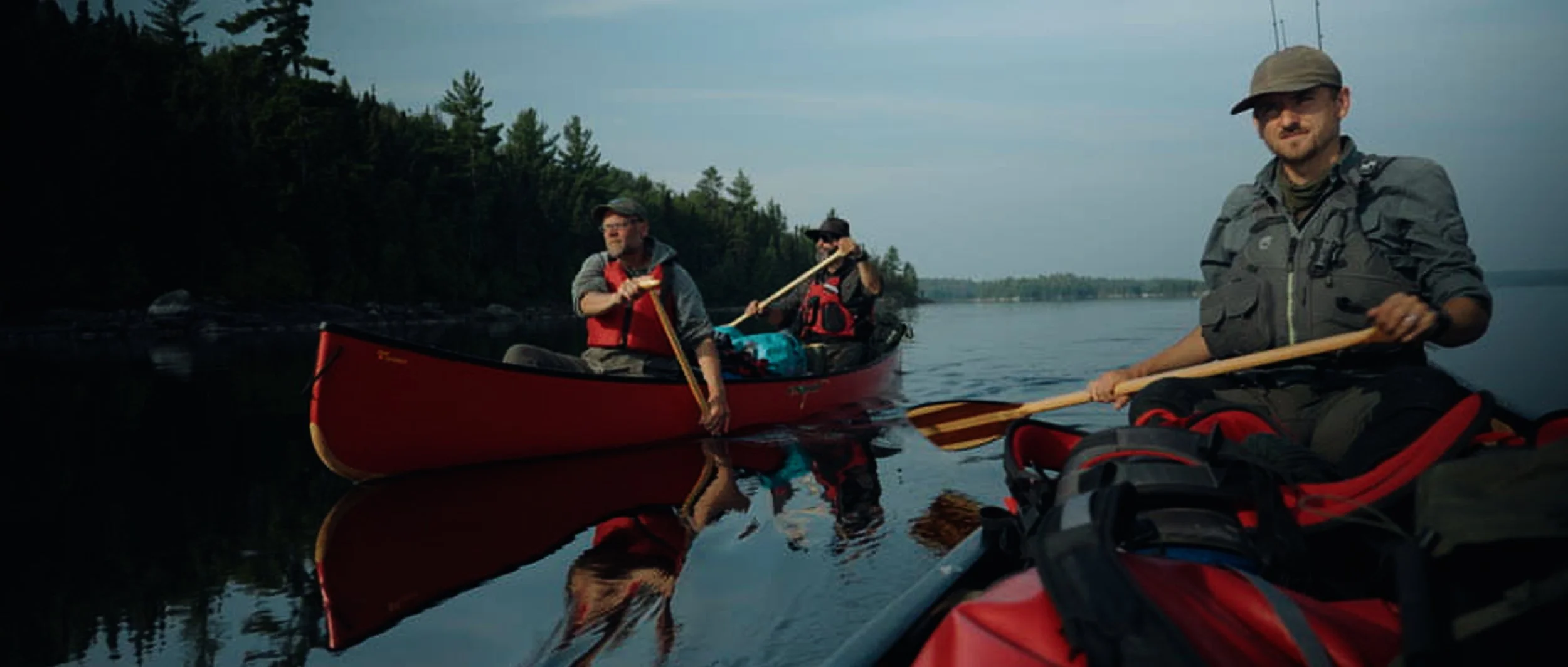 moose still (10).jpg