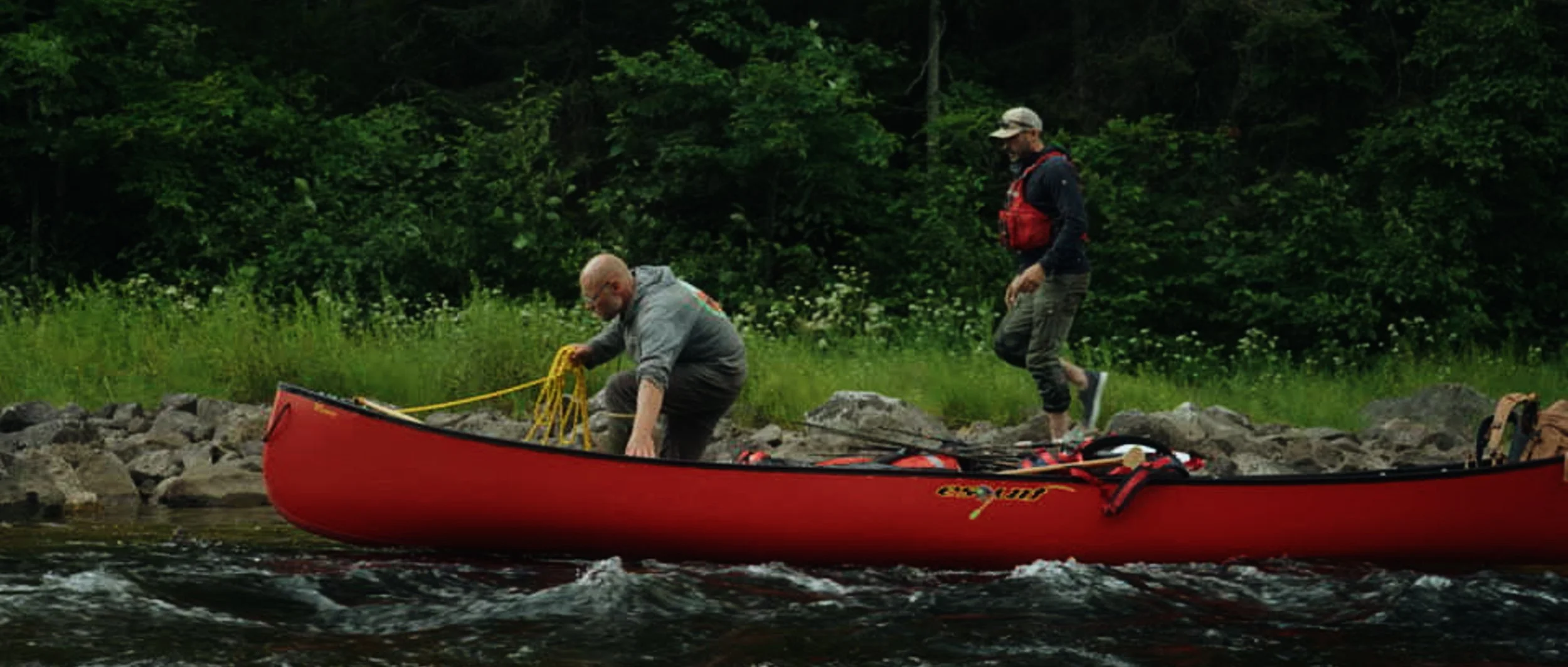 moose still (12).jpg