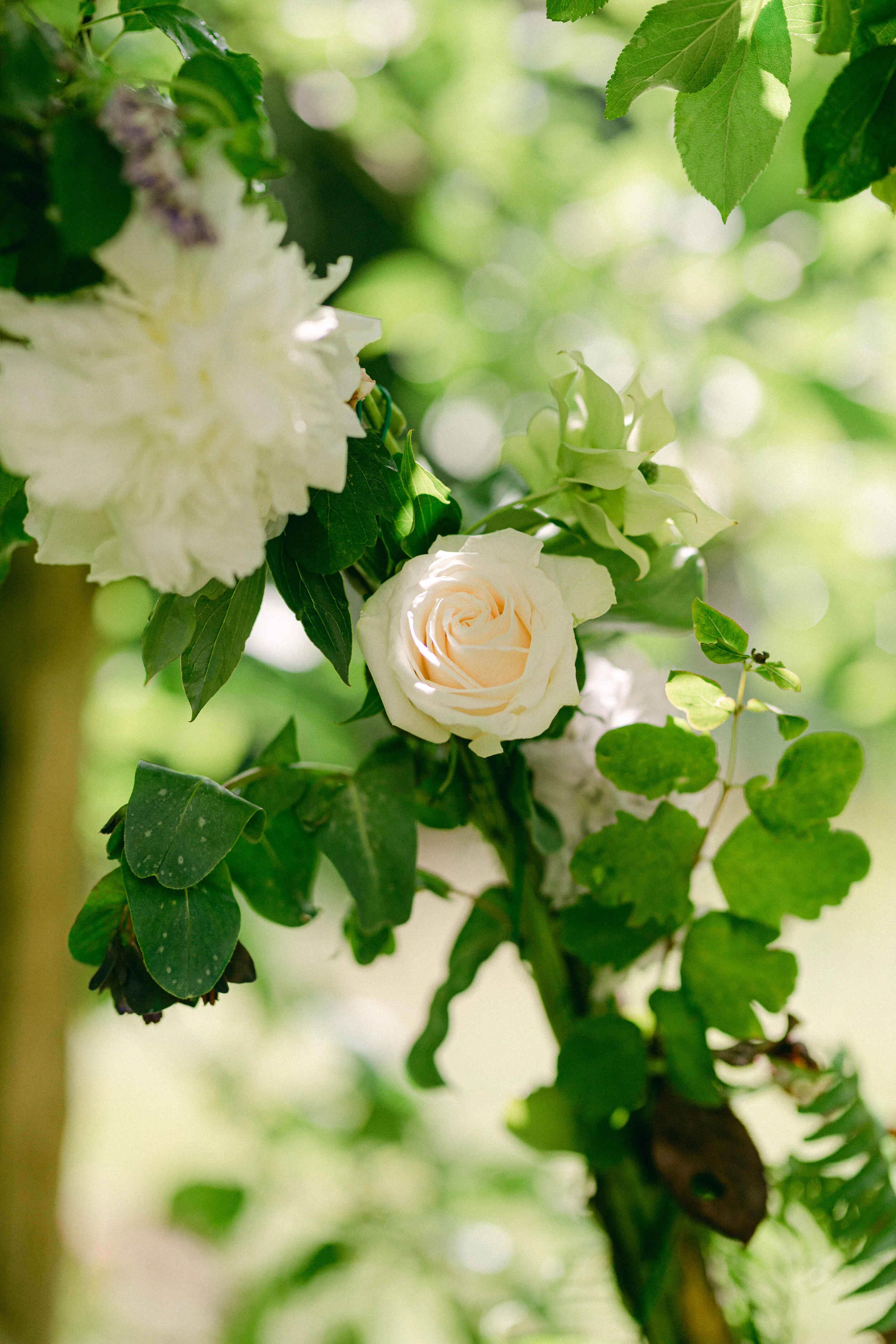 LindengPhotography-Seattle Wedding Photographer-7.jpg