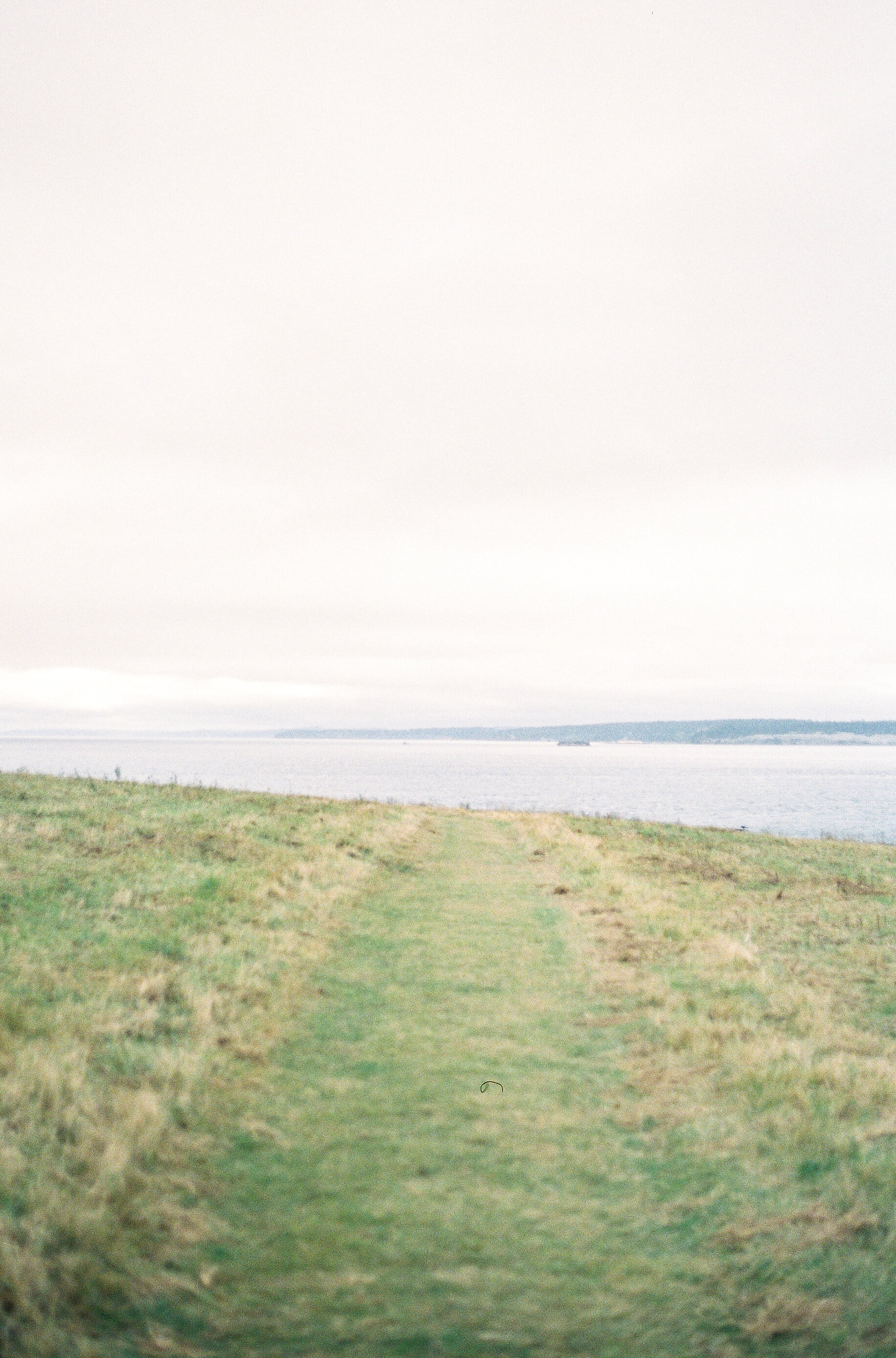 Lindeng Photography - Whidbey Island elopement