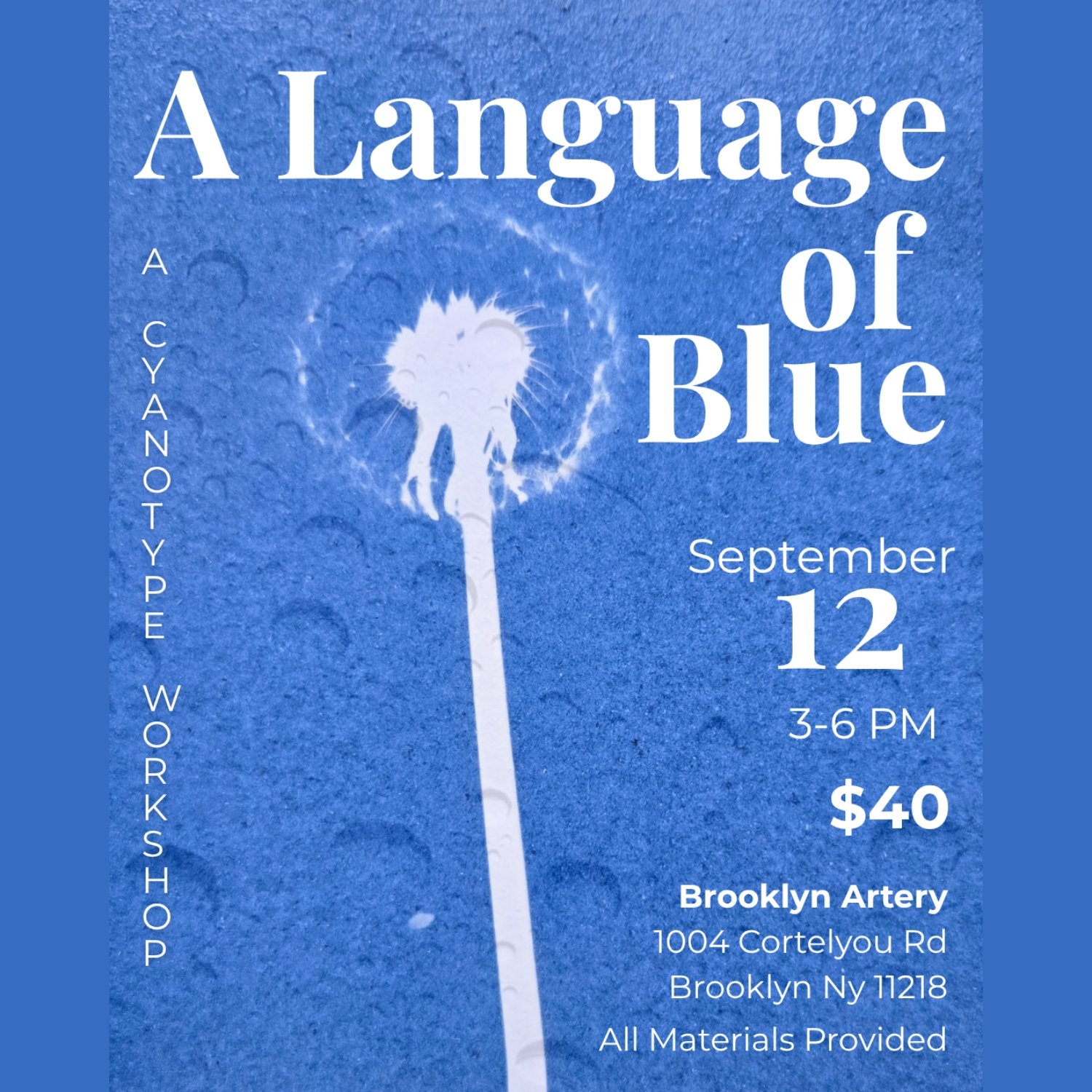 A Language of Blue: Cyanotype Workshop