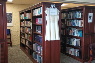 DVAM Awareness Display - Scottsboro