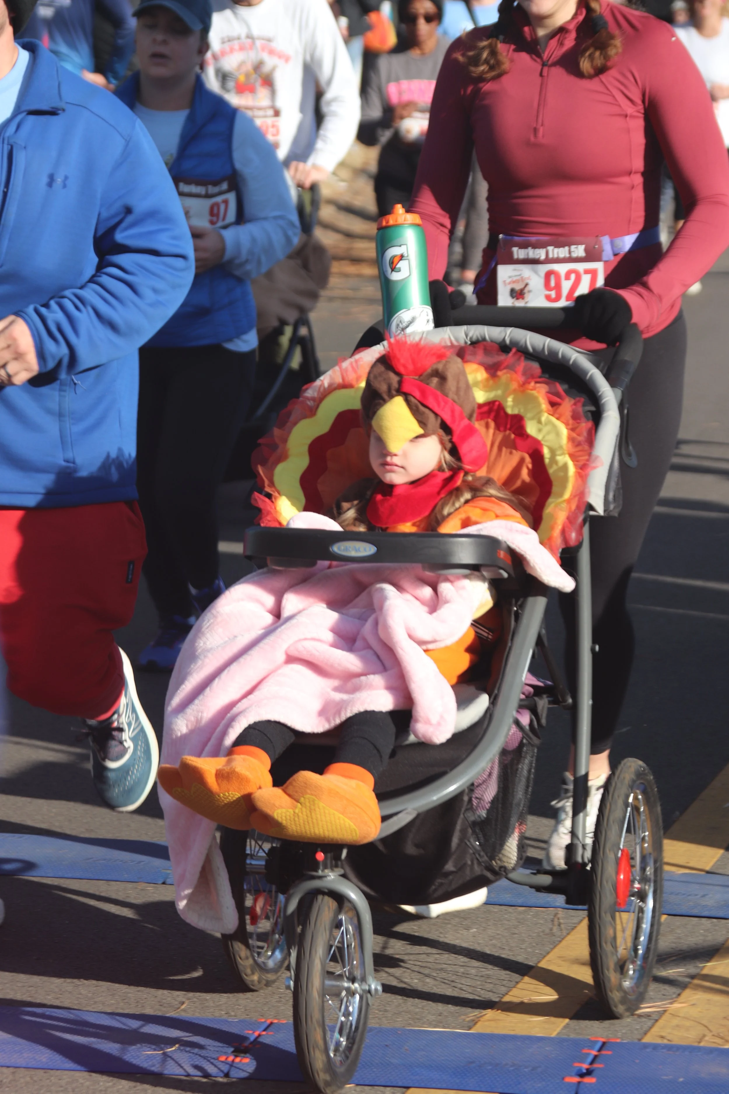 A young girl dressed in a turkey costume, likely for a Thanksgiving event, sitting in a stroller during a running race with people running around her.