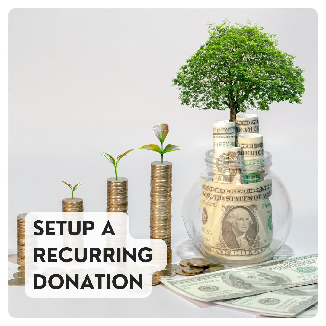 Setup a recurring donation text on coin stacks growing to a tree in vase with paper money