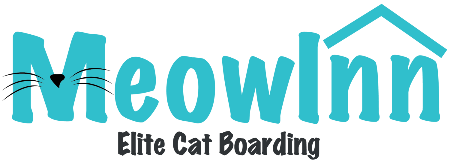 MeowInn