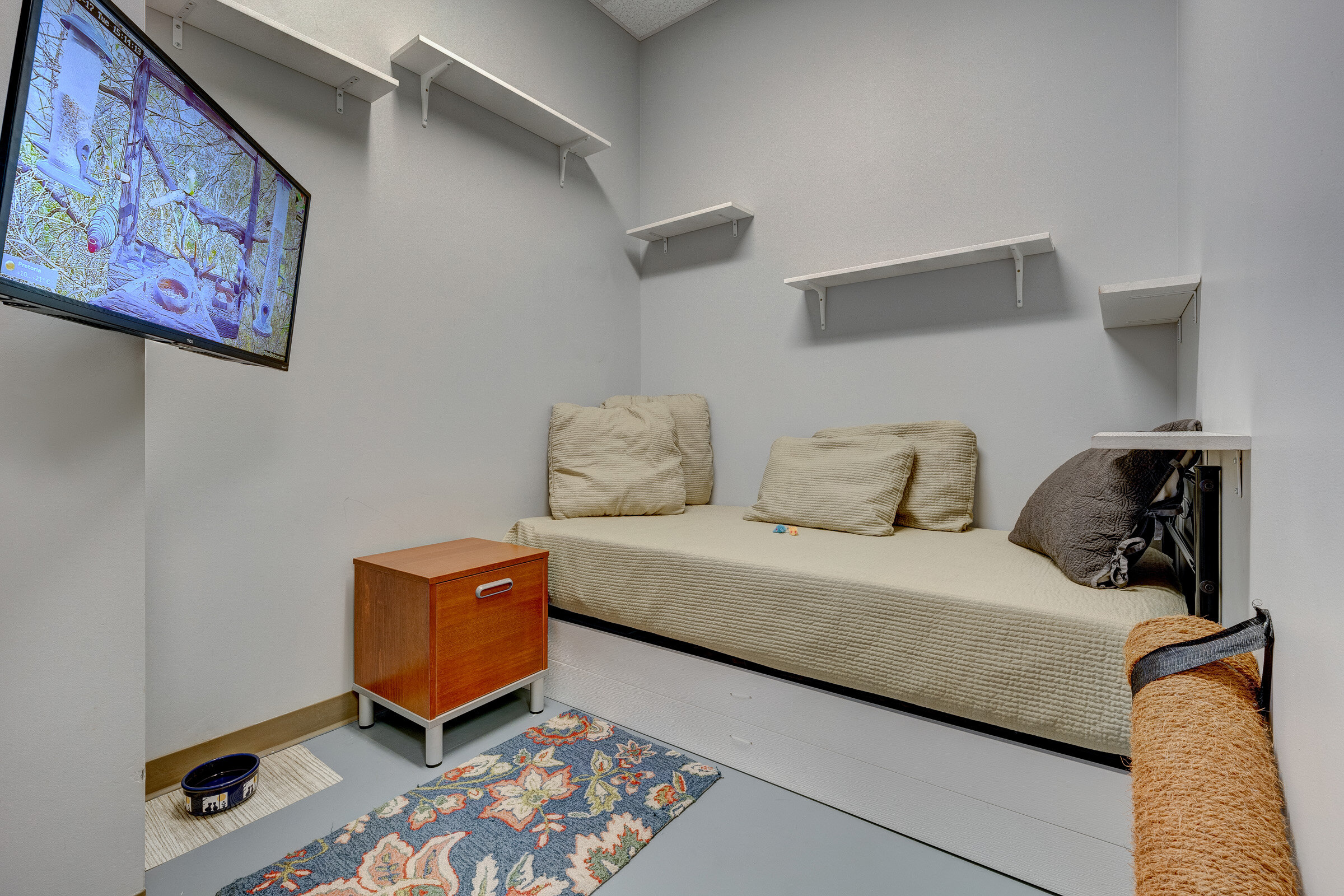 Super Suite 2