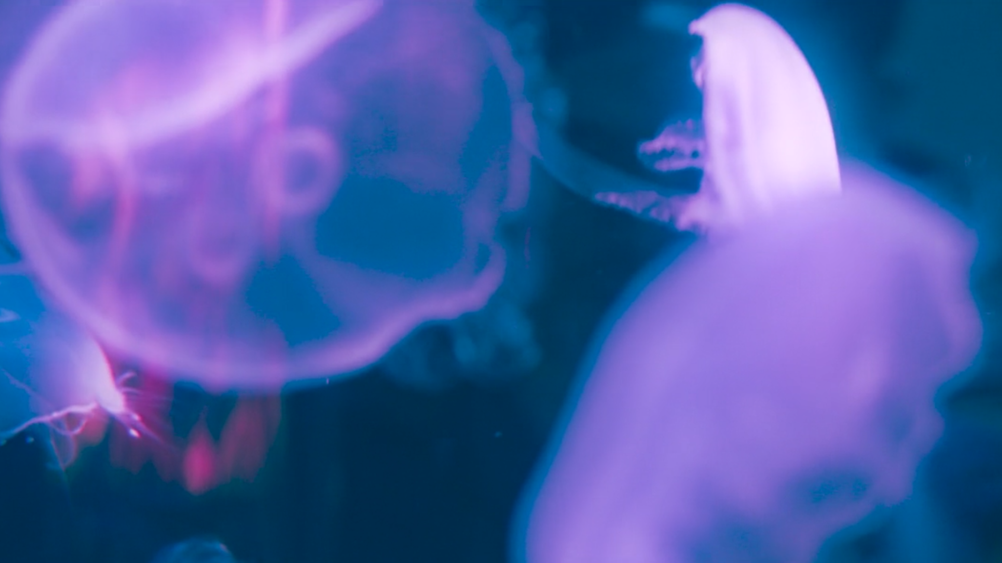 Skärmavbild 2025-11-07 kl. 15.27.24.png