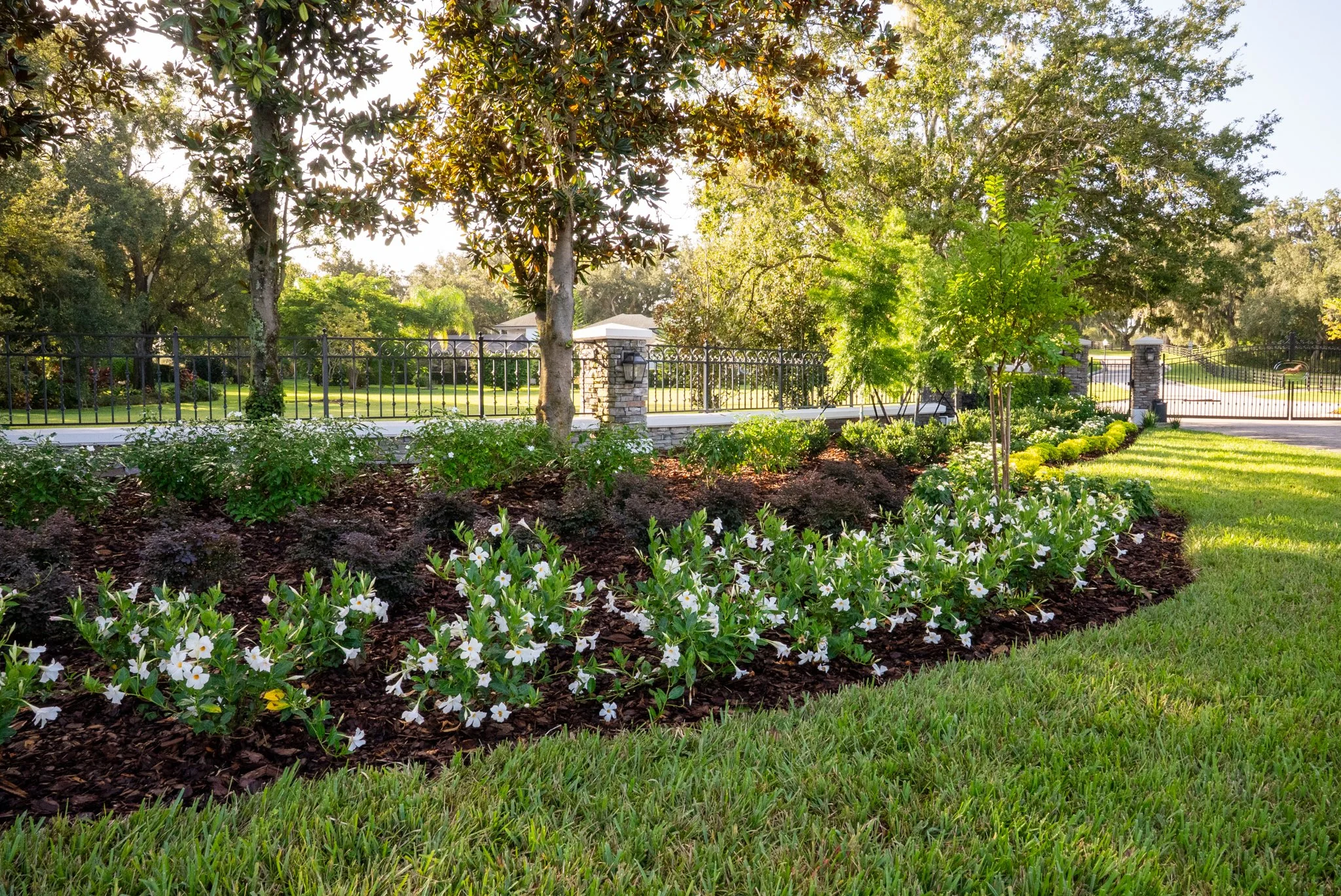 Trees and fence in background with flowers and lawn in front.