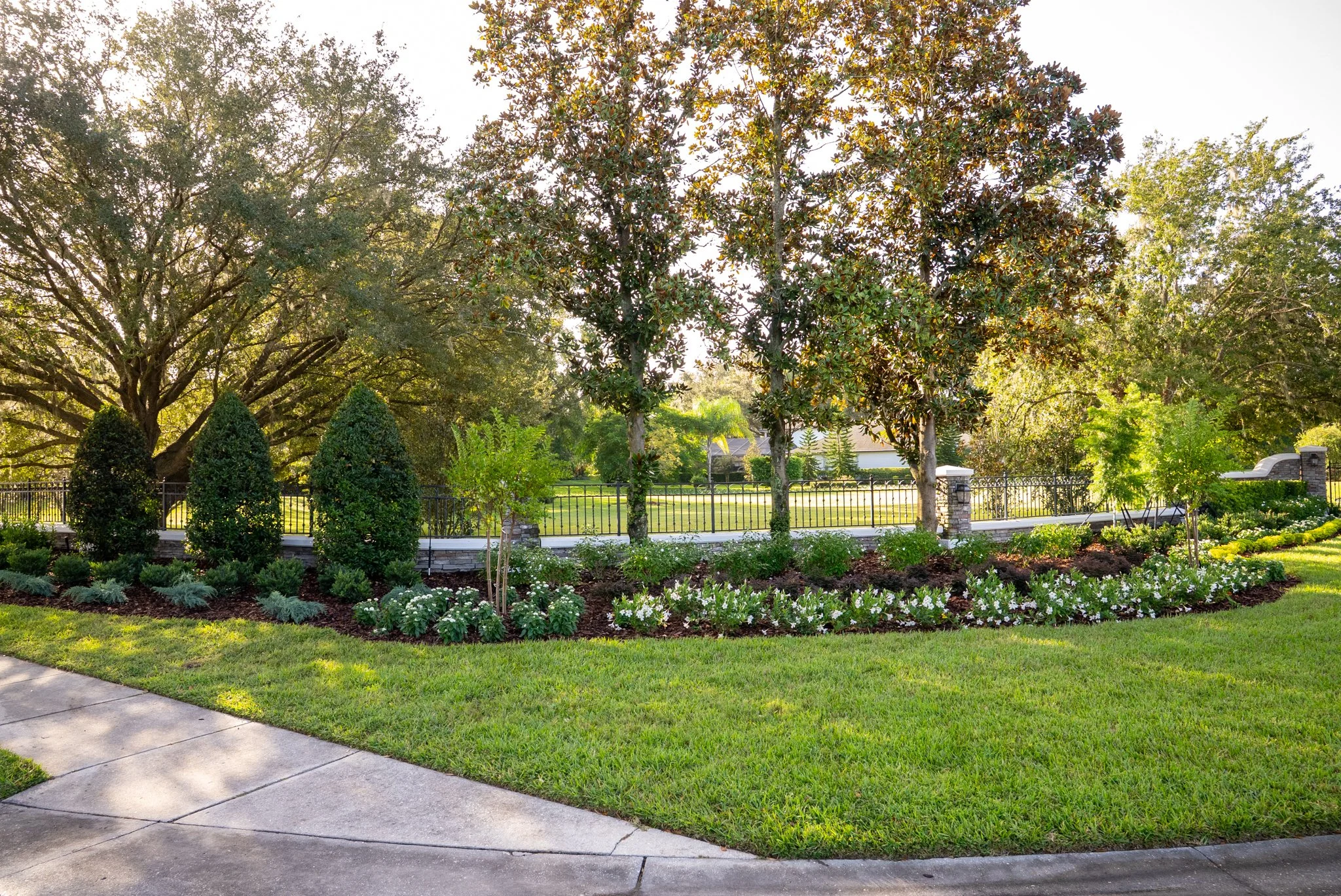 Trees with plants in front.