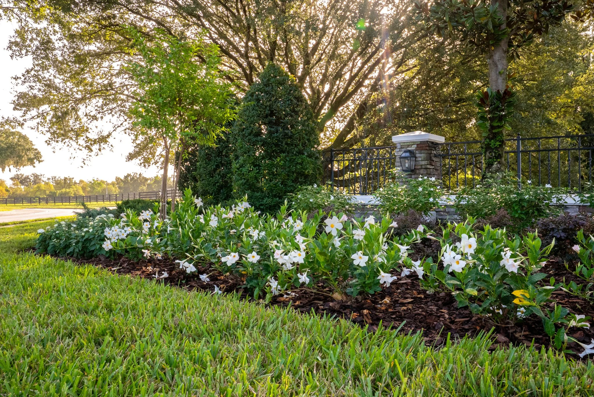 Grass, flowers and trees