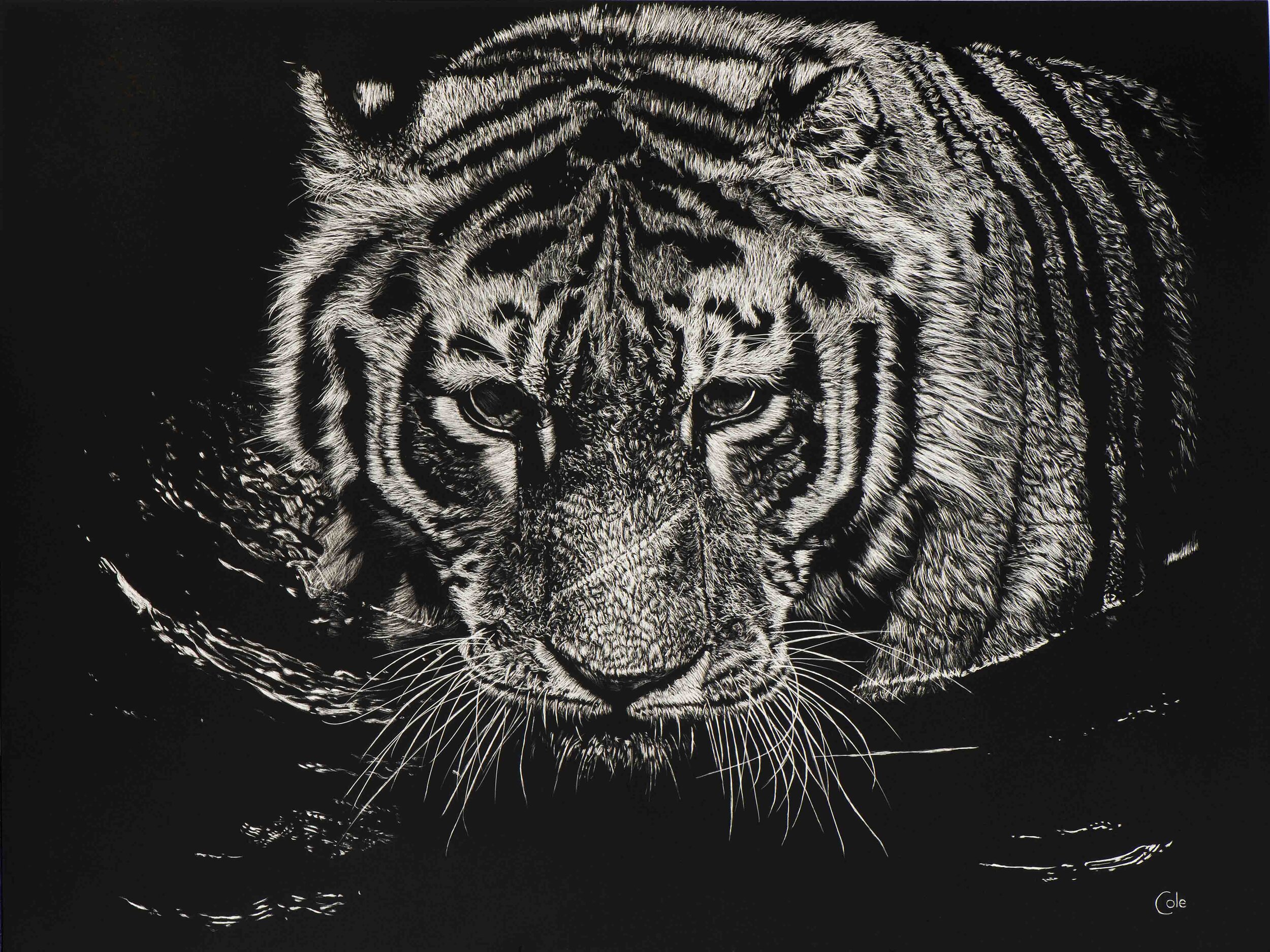 Artist Nathan Cole