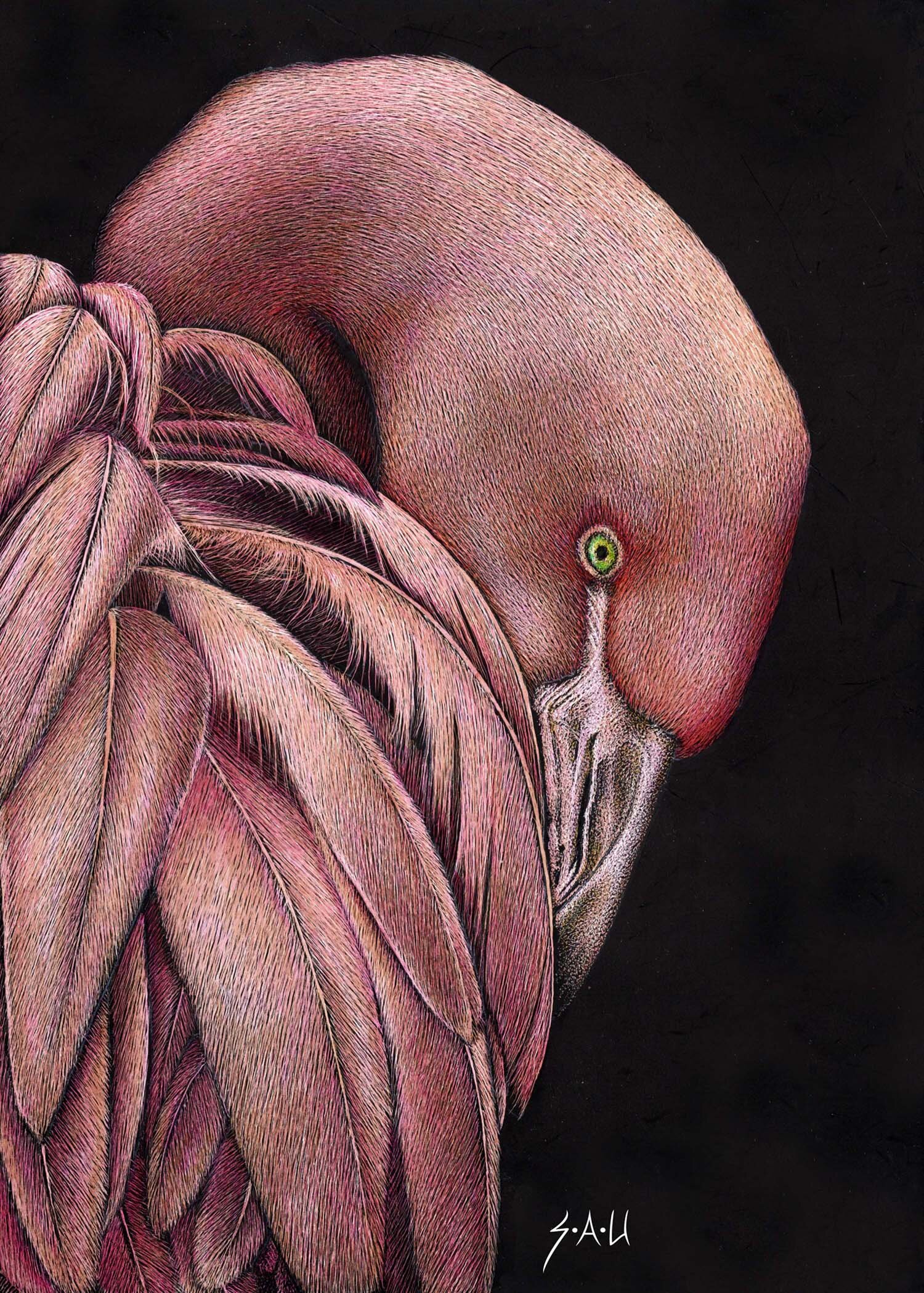 How to draw a beautiful bird by acrylic colour — Hive