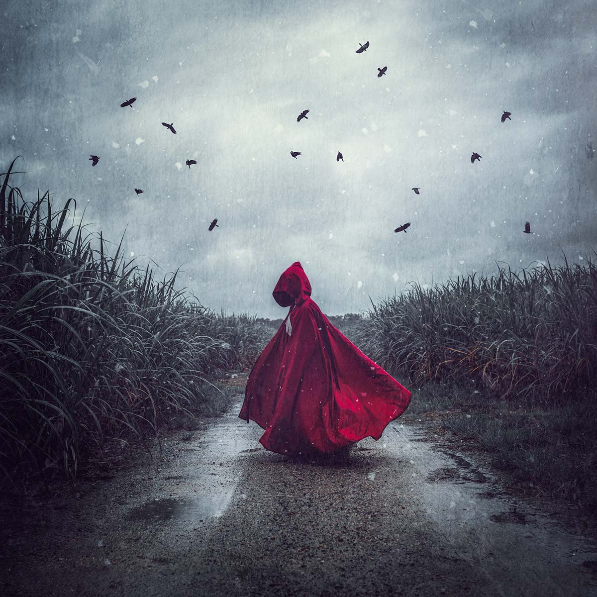 Photographer Charli Savage