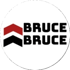 Bruce PNG.png