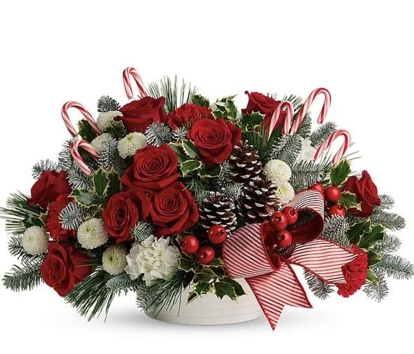 Roses and Candy Cane