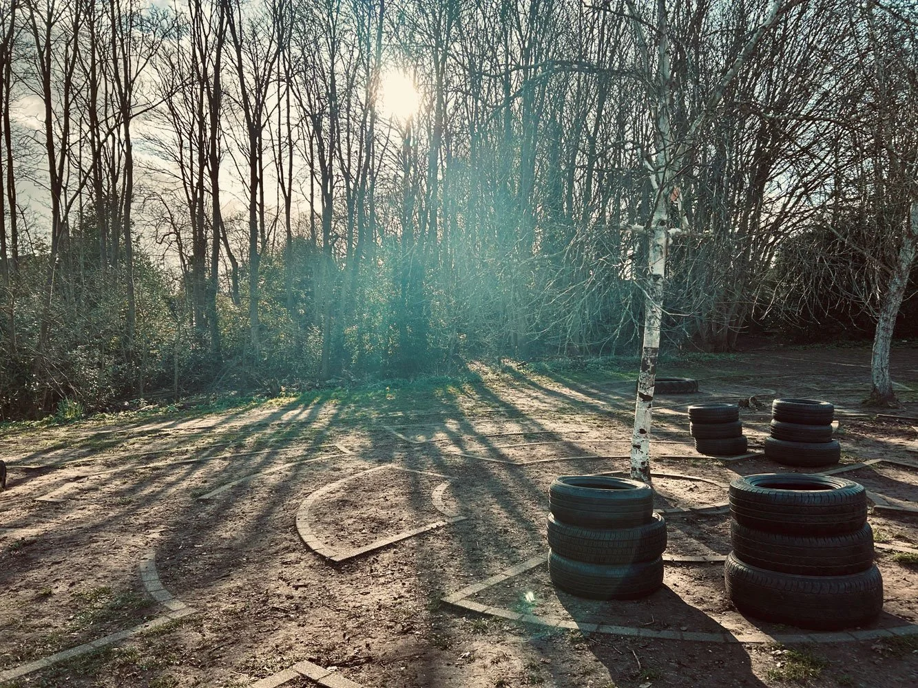 Woodland Space Project