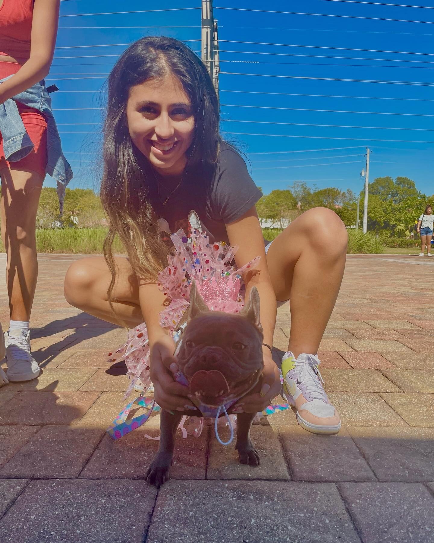Happy Birthday BROOKLYN 💕It&rsquo;s always a PAWTY when you&rsquo;re  around 🎉 🎈🐾🐶🤪🎊☀️ &bull;
&bull;
&bull;
&bull;
&bull;
#pawfectpalsmiami #pawfectpals #miamidogwalkers #miamipetsitters
#pawfectwalkers #pawfectmiami 
#miamidogwalkers #miamipe