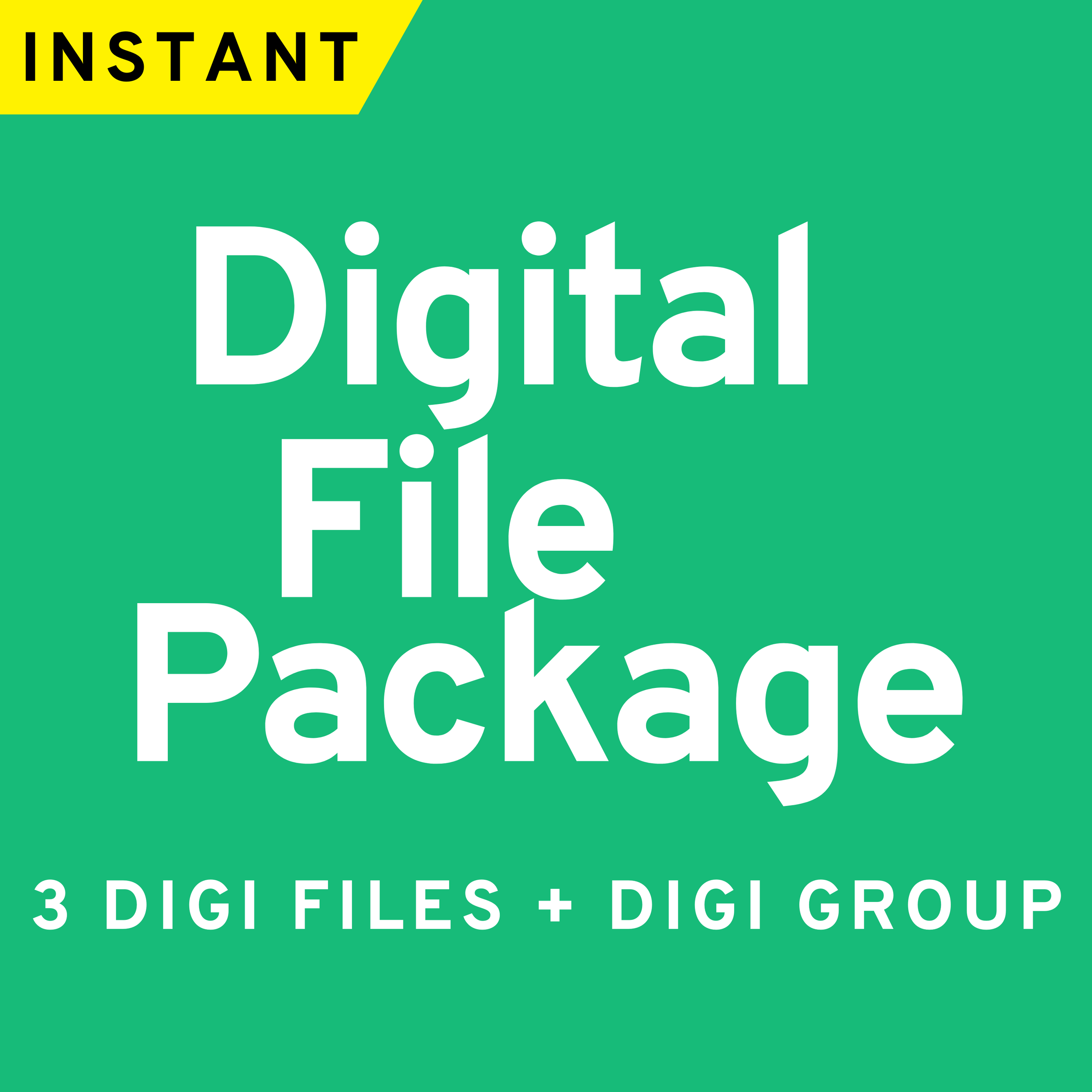 Digital File Package - 3 Poses