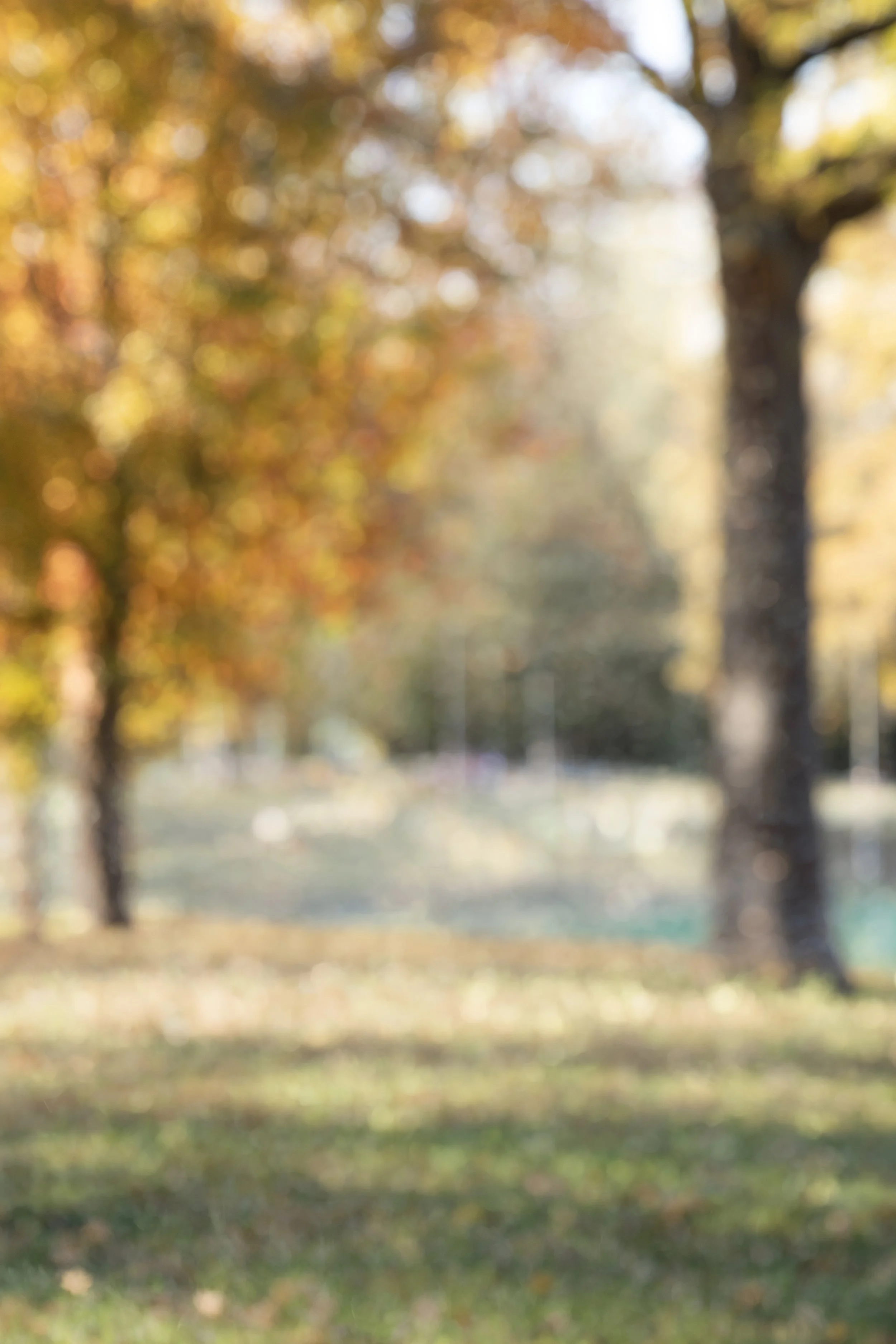 Autumn