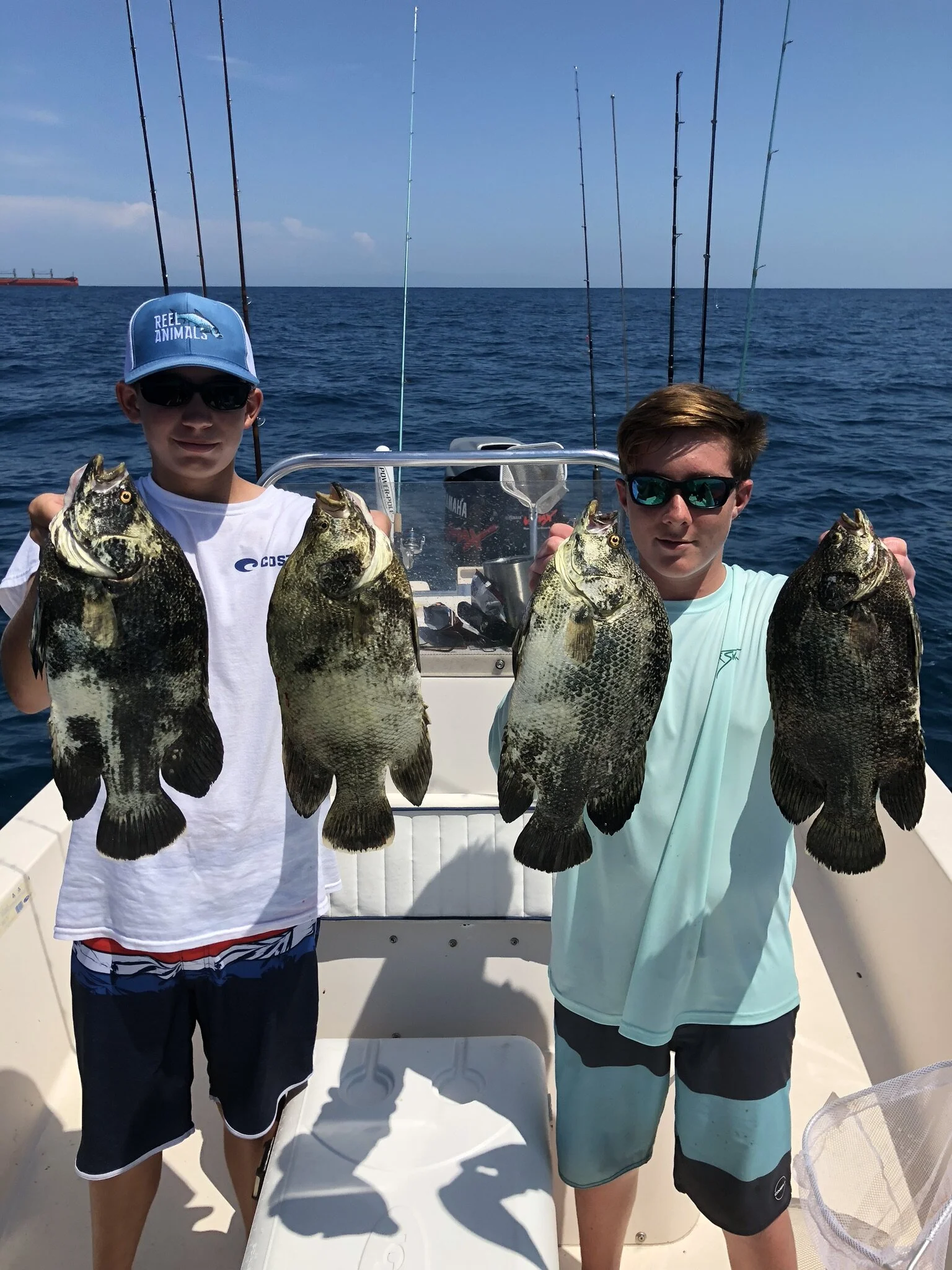 tripletail noah.JPEG