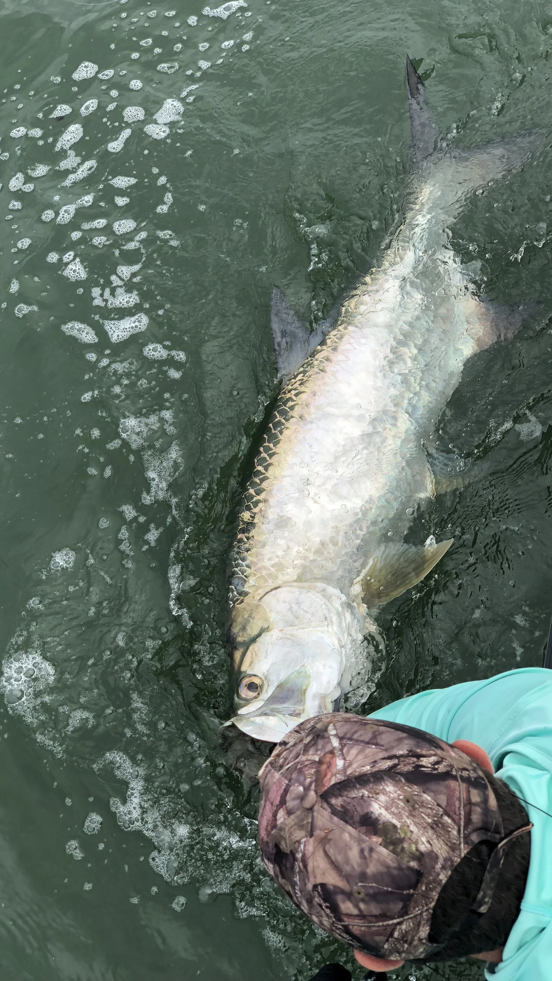 tarpon boat.JPG