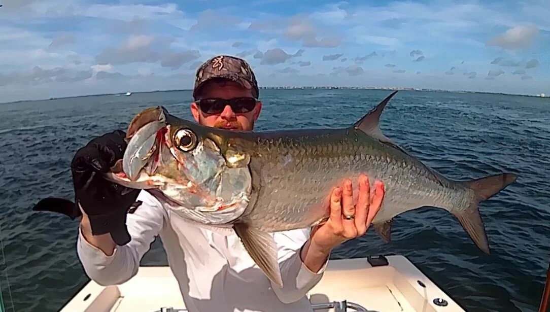 Tarpon 2a.JPG