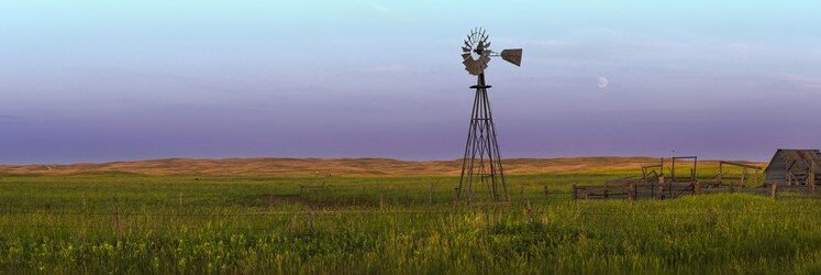 The Art &amp; Nature Connection