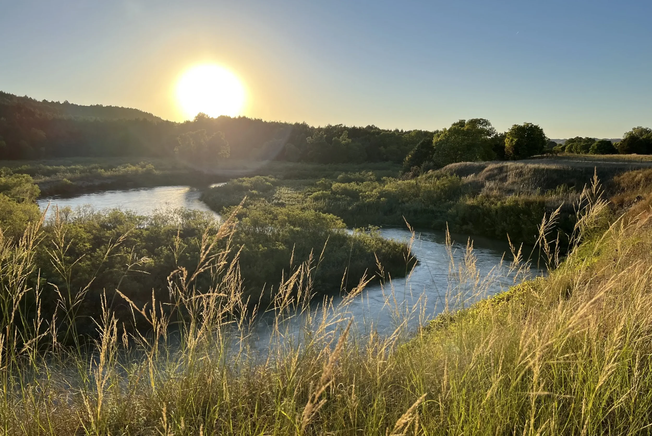 Sacred Sandhills