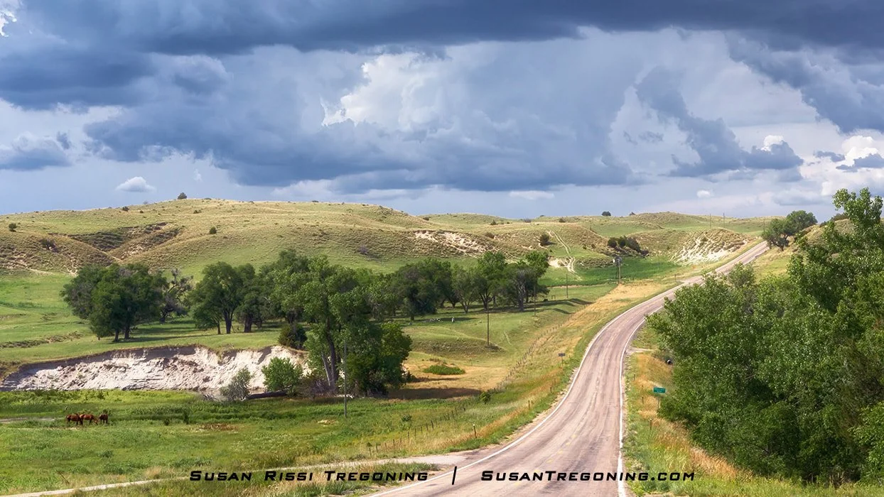  Just about any road here provides a rare excursion through a land as close to untouched as you're likely to find anywhere else. 