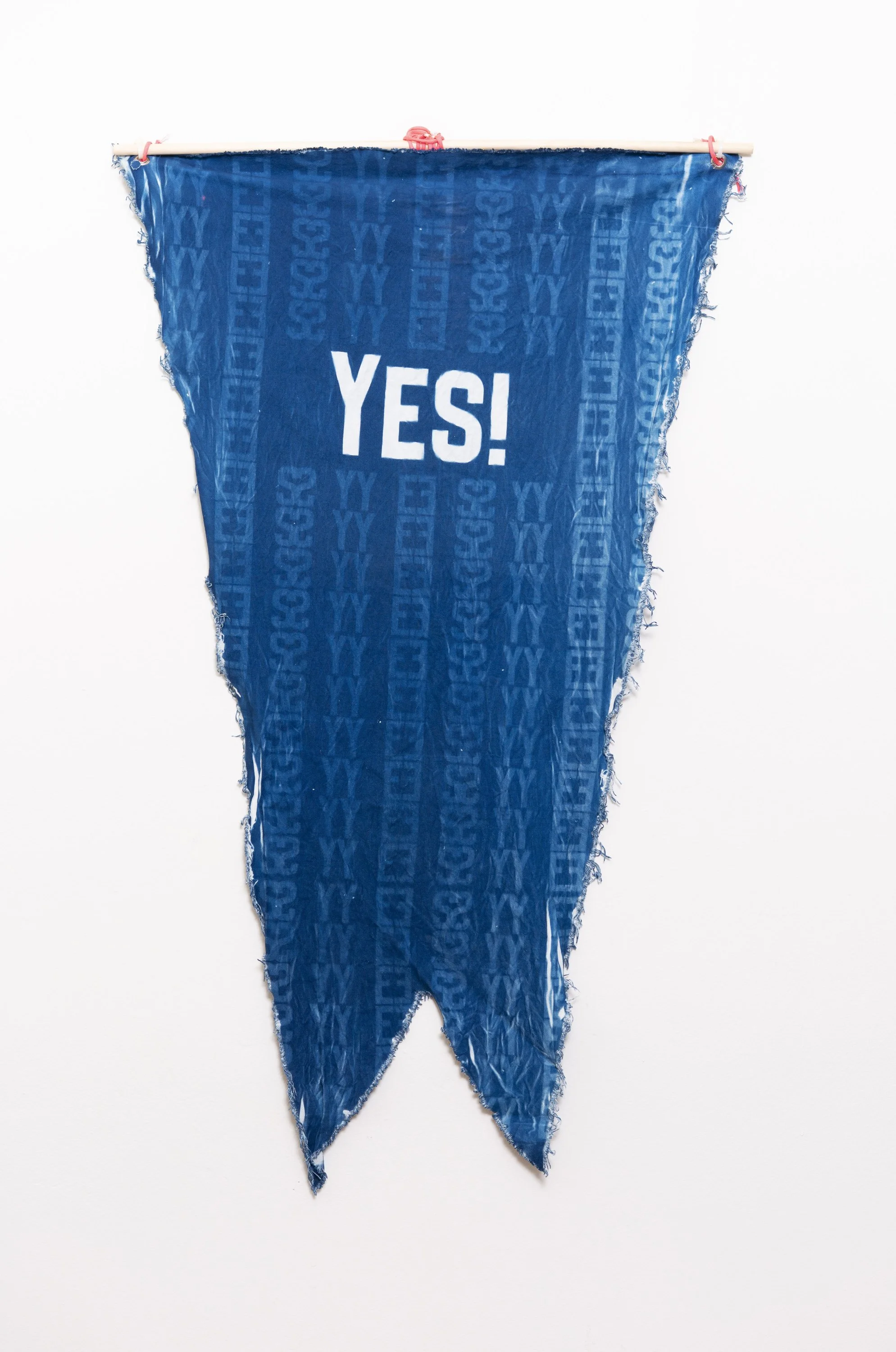12_014_gia_canali_cyanotype_banners_art_parade_lacma.jpg