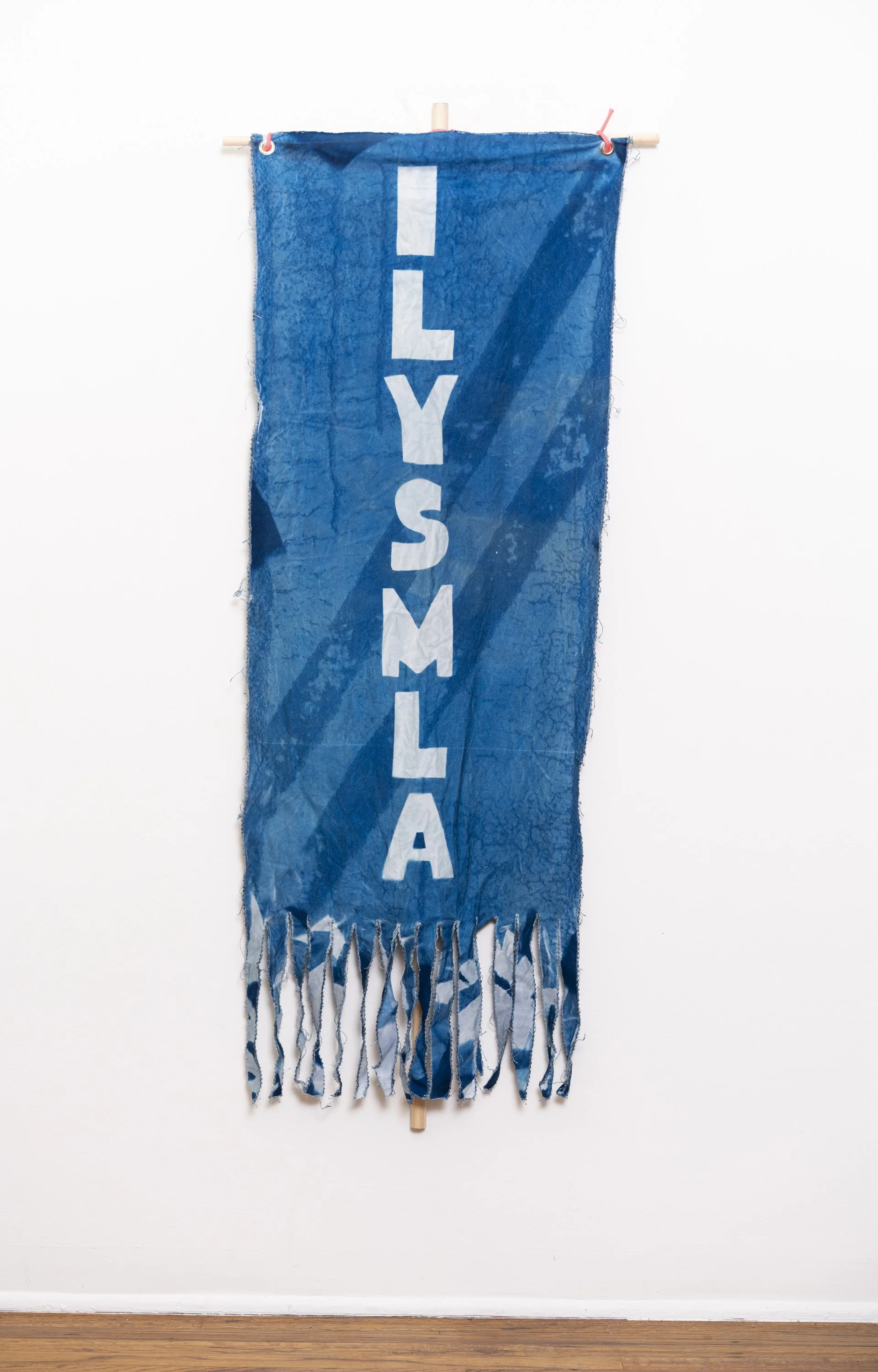 03_006_gia_canali_cyanotype_banners_art_parade_lacma.jpg