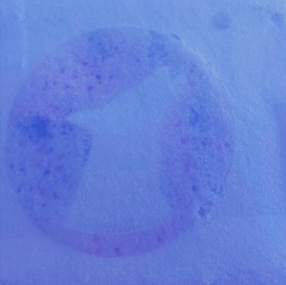 8A0B6830-0E67-4A03-AE89-FD3F353C1263 (1).jpeg