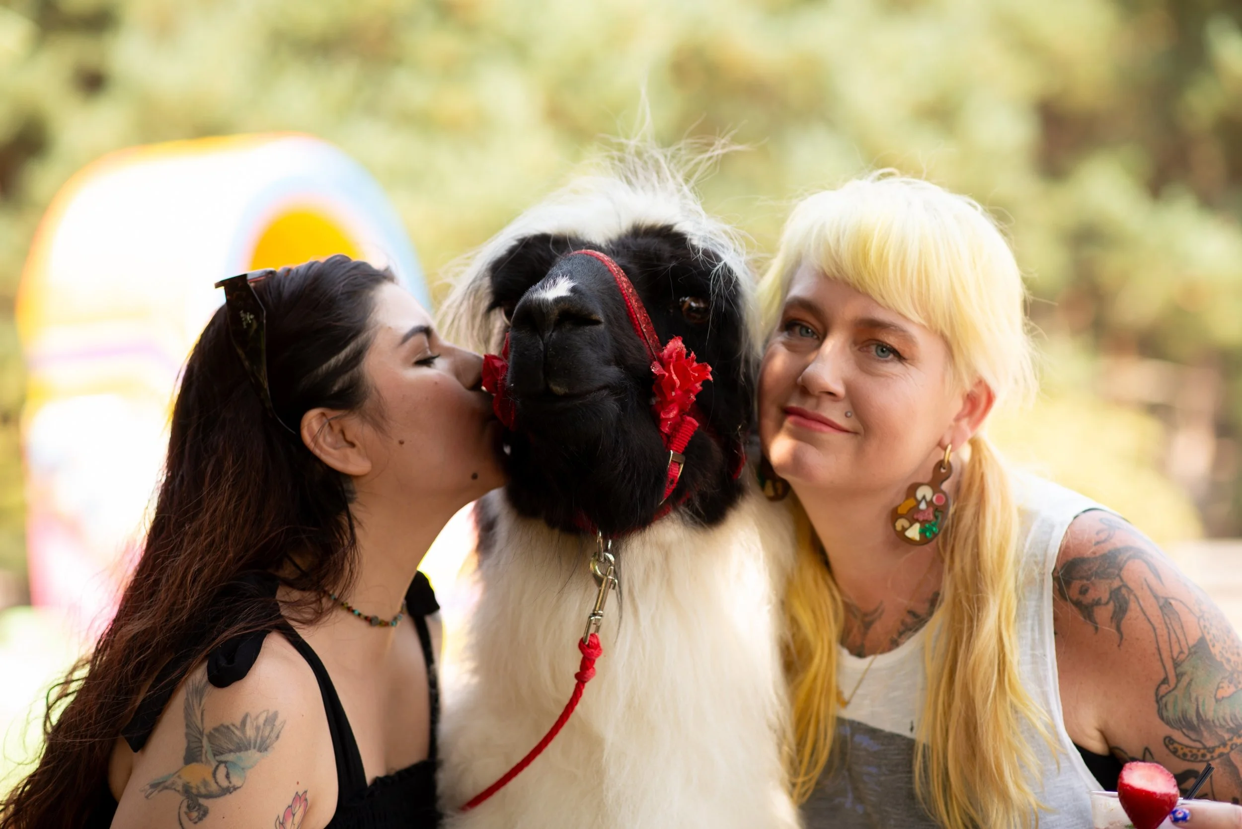us and llama2.jpg